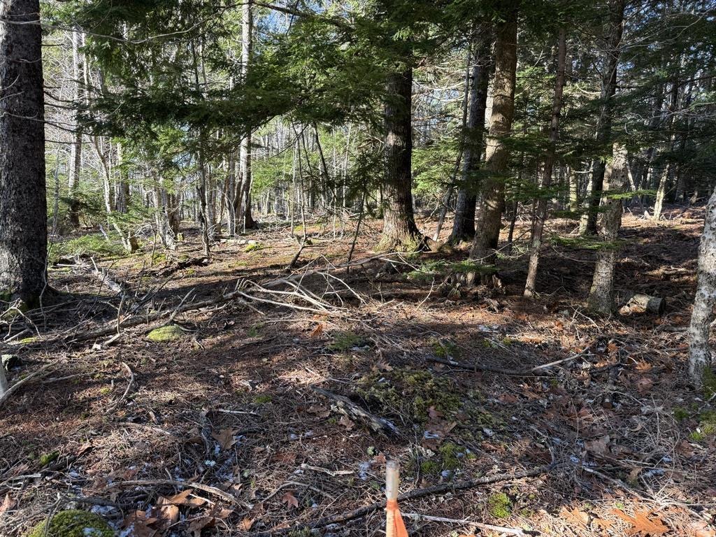 $25,000.00: Lot Conquerall Mills Road, Hebbville