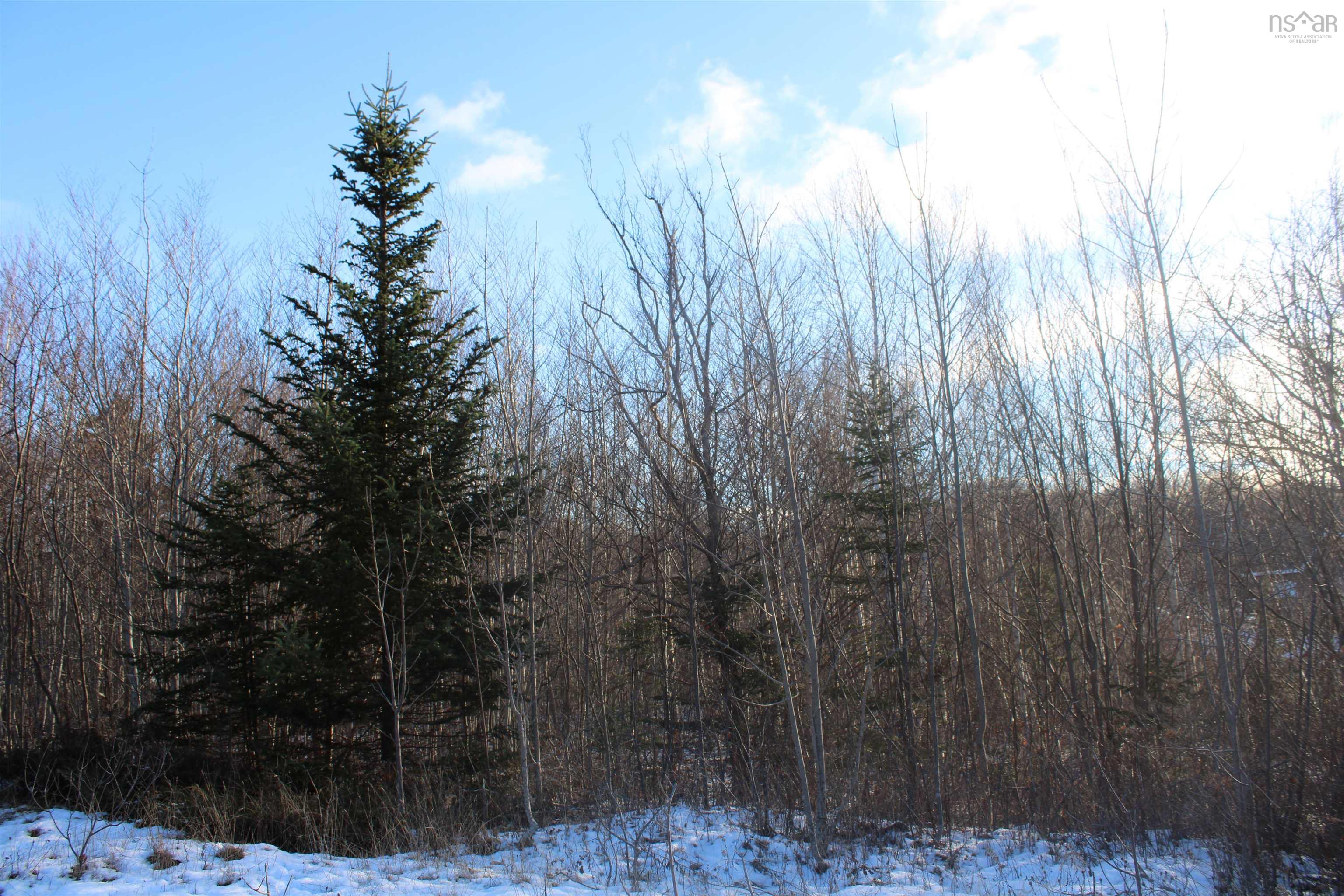 $69,000.00: Lot Parker Mountain Road, Parkers Cove