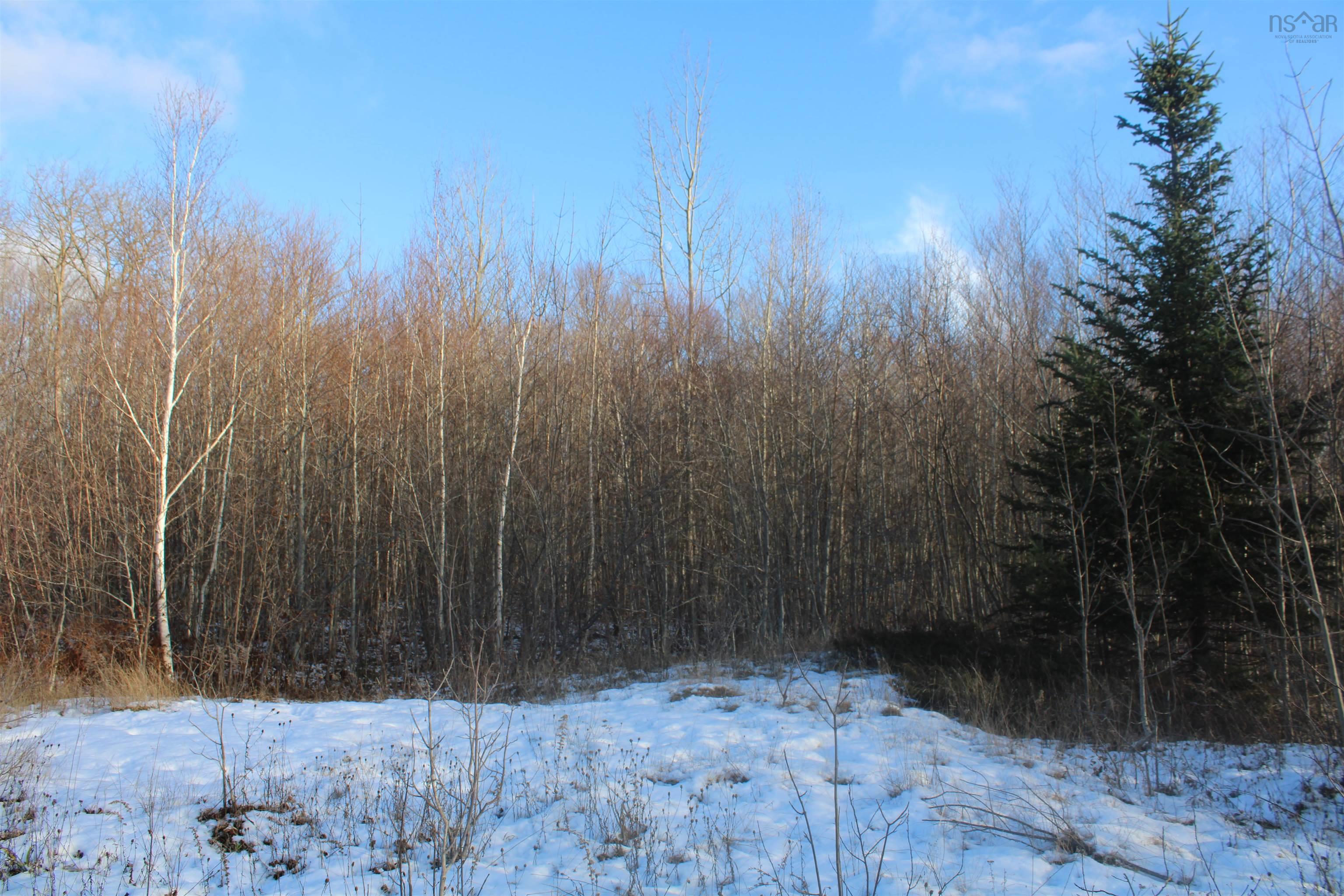 $69,000.00: Lot Parker Mountain Road, Parkers Cove