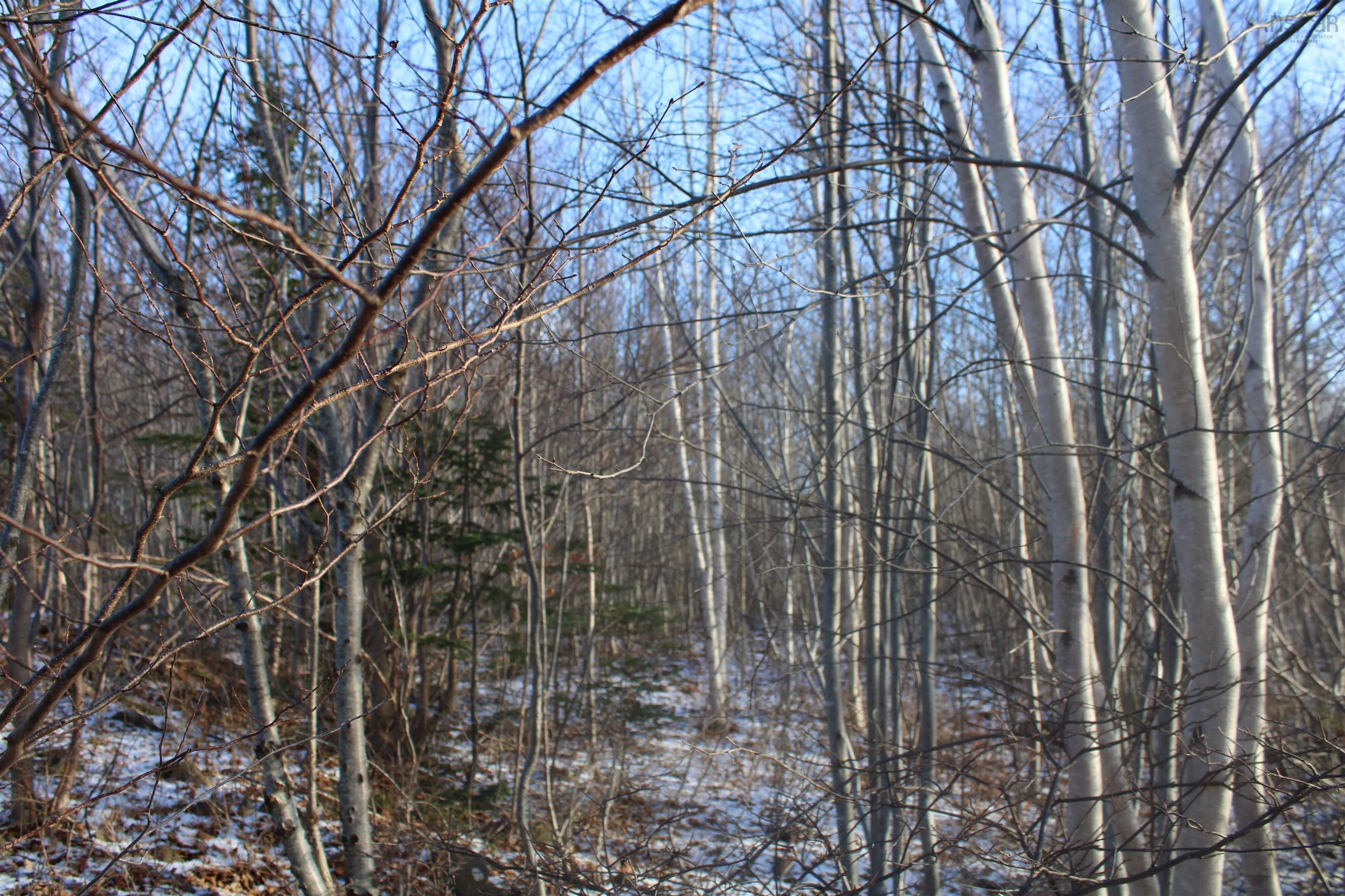 $69,000.00: Lot Parker Mountain Road, Parkers Cove