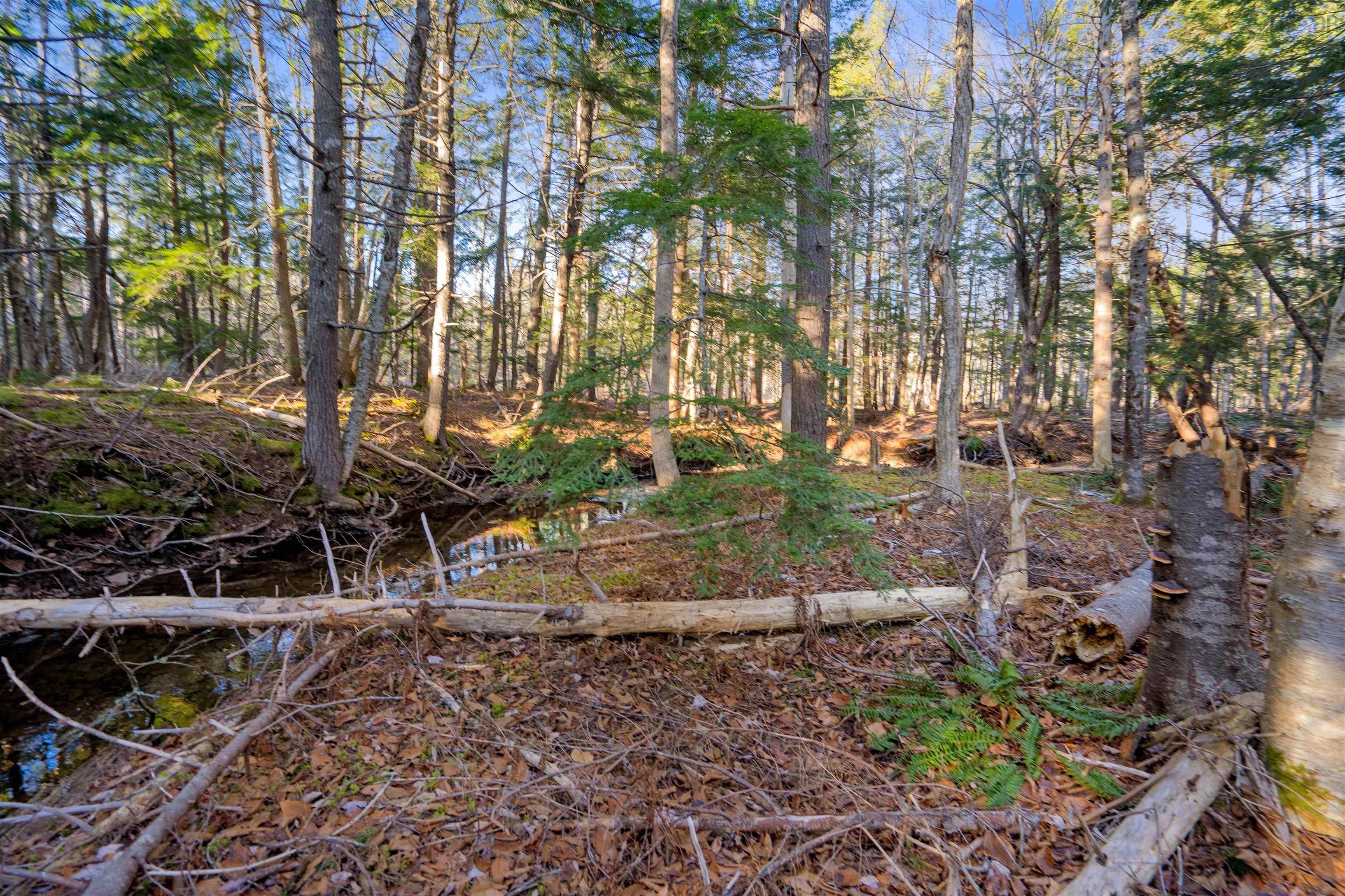 $174,900.00: Pine Tree Road, Pine Tree