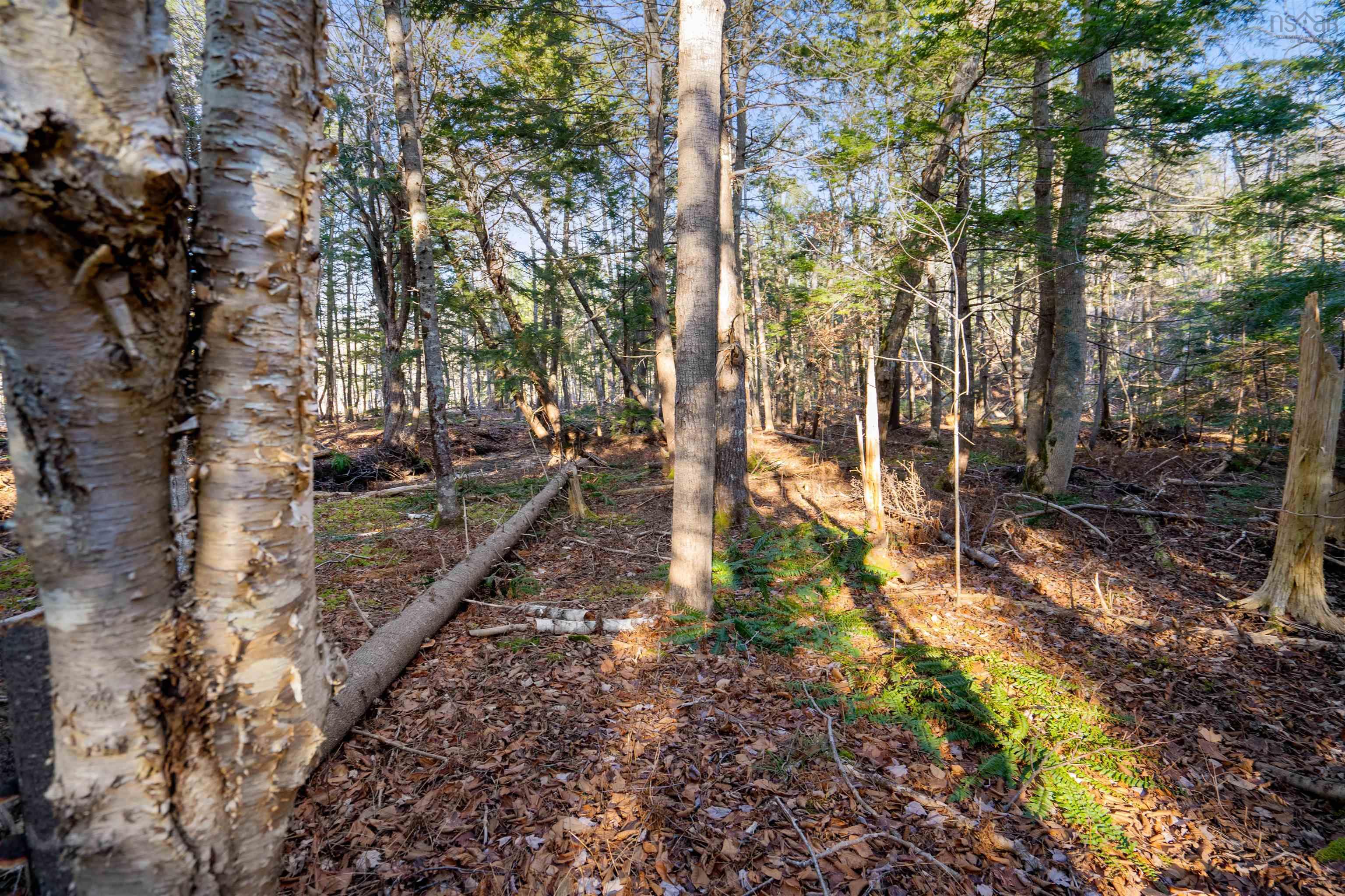 $174,900.00: Pine Tree Road, Pine Tree