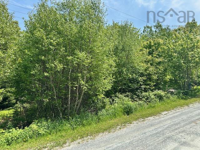 $18,900.00: Lot PID#70088083 NORTH Street, Brooklyn