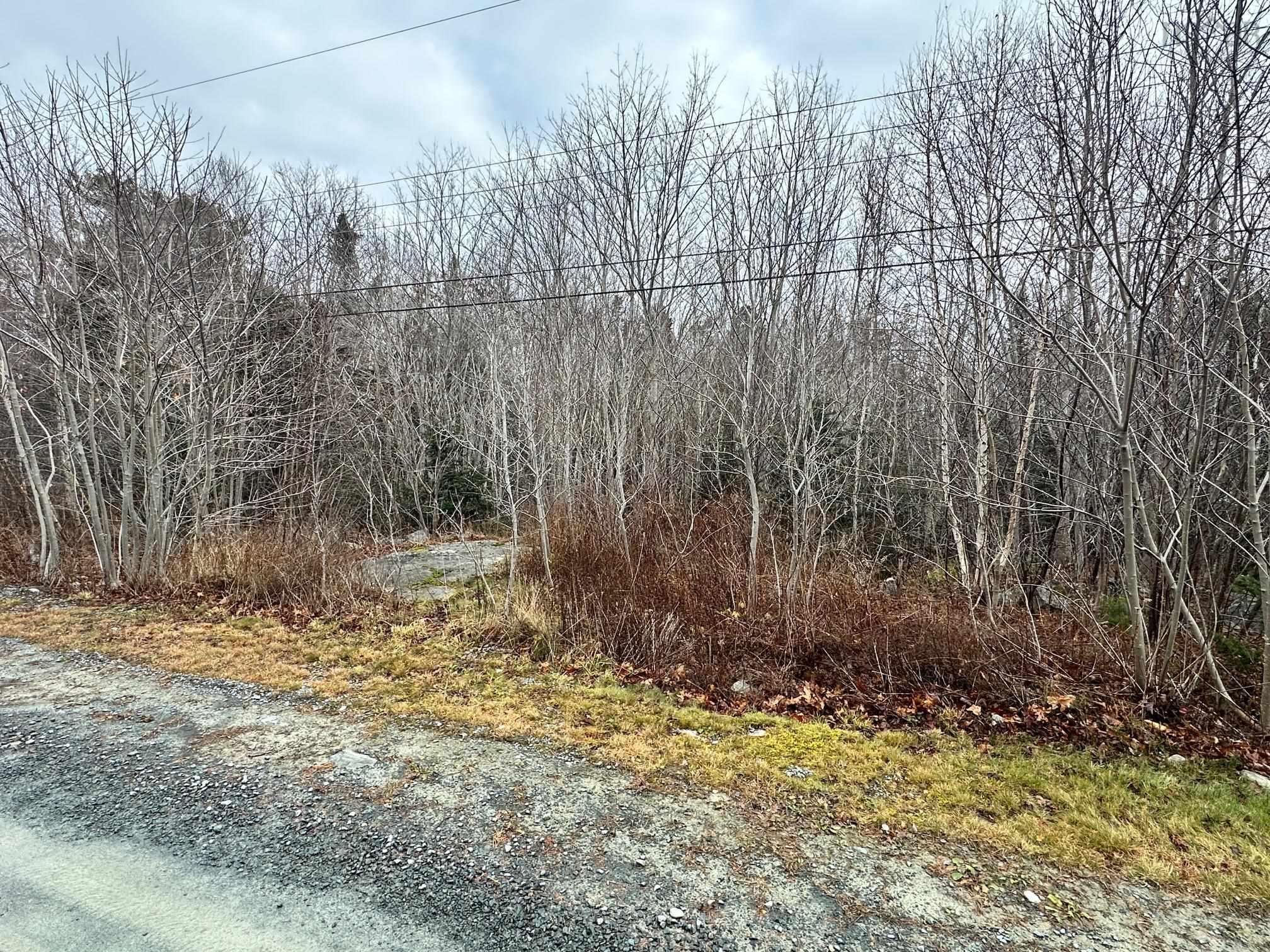 $19,900.00: Lot PID#70088083 NORTH Street, Brooklyn