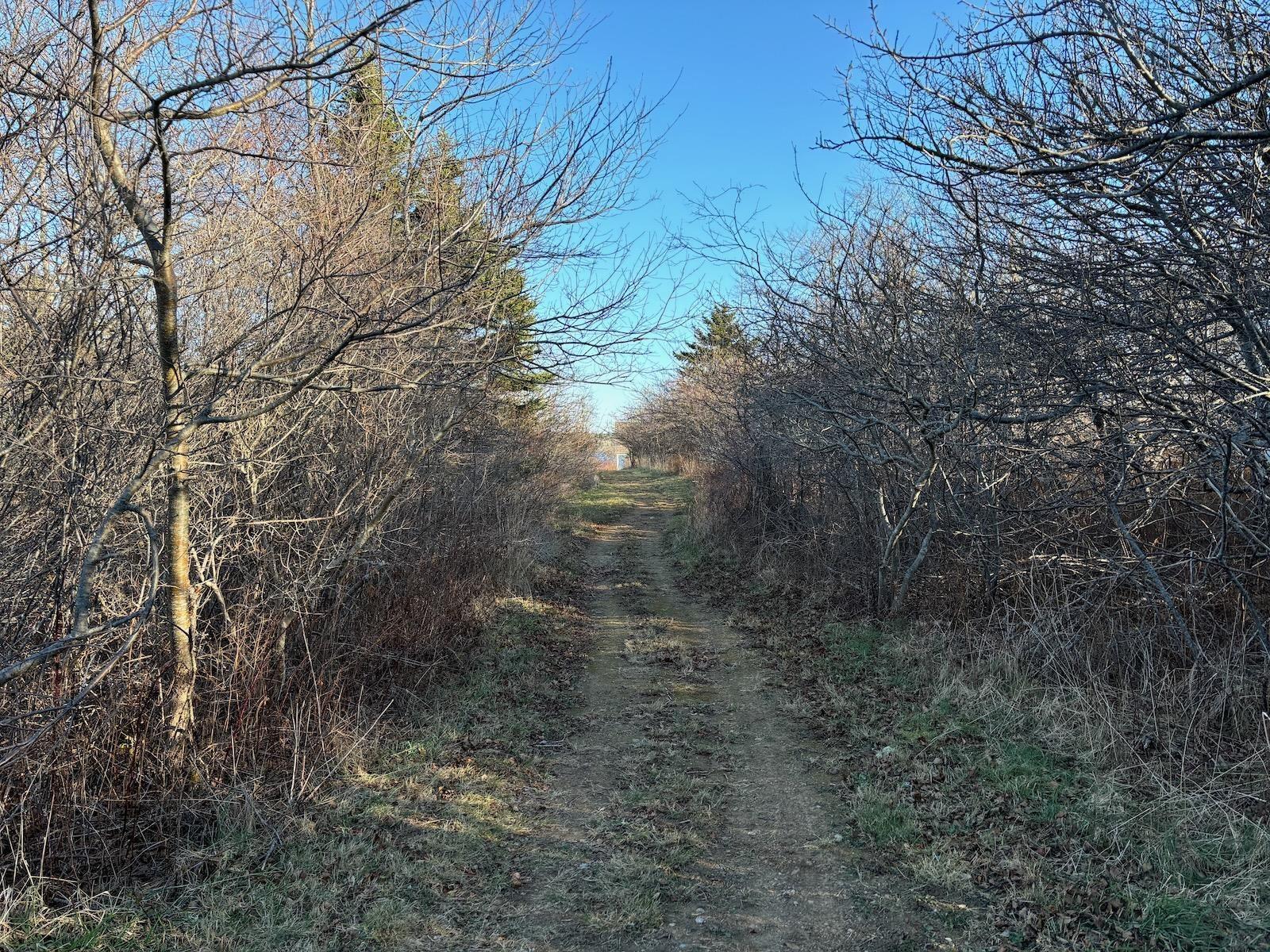 $209,900.00: 310 Chemin Des Bouleaux, Sluice Point