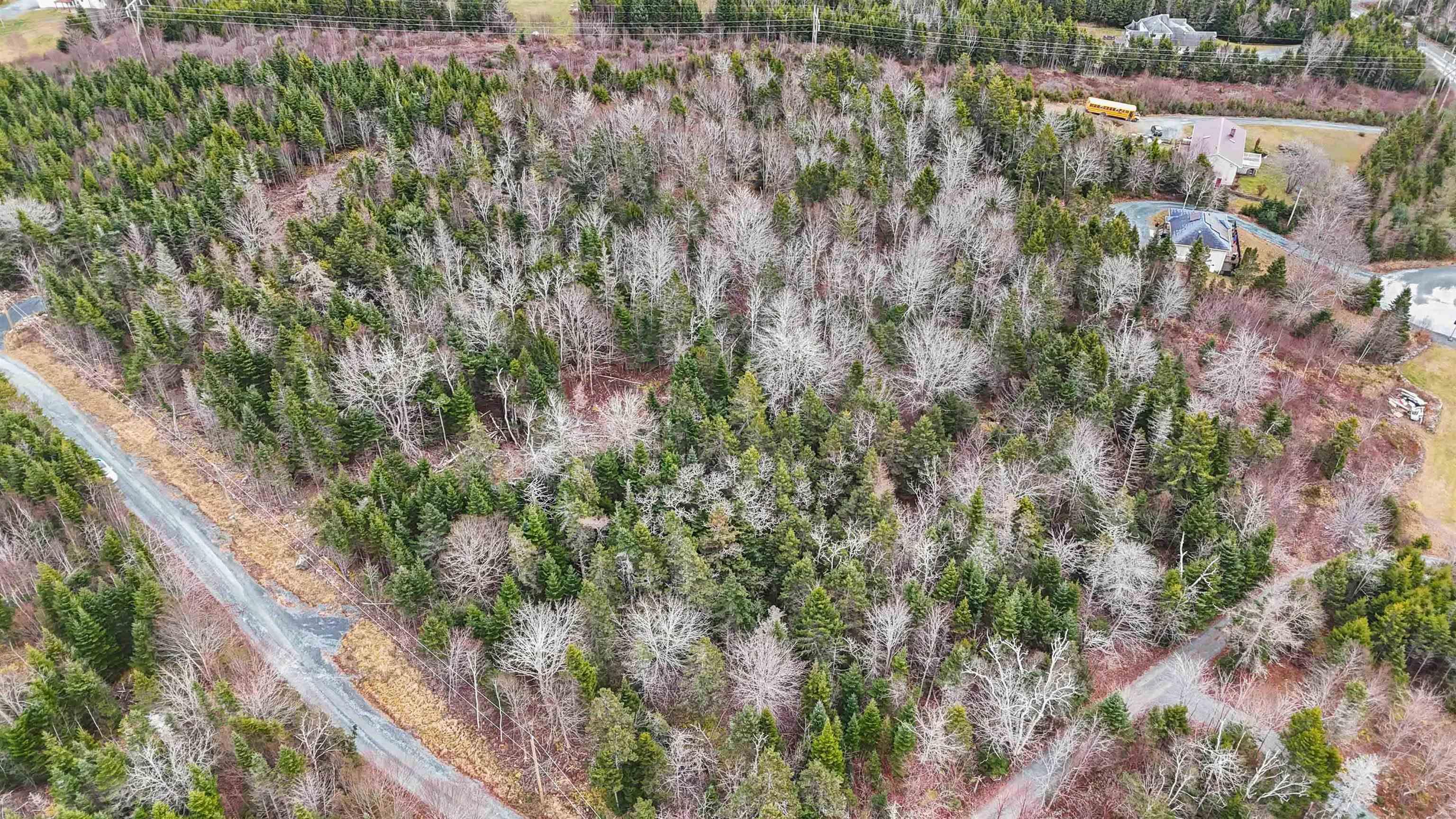 $99,900.00: Lot 15 Cove Road, Porters Lake