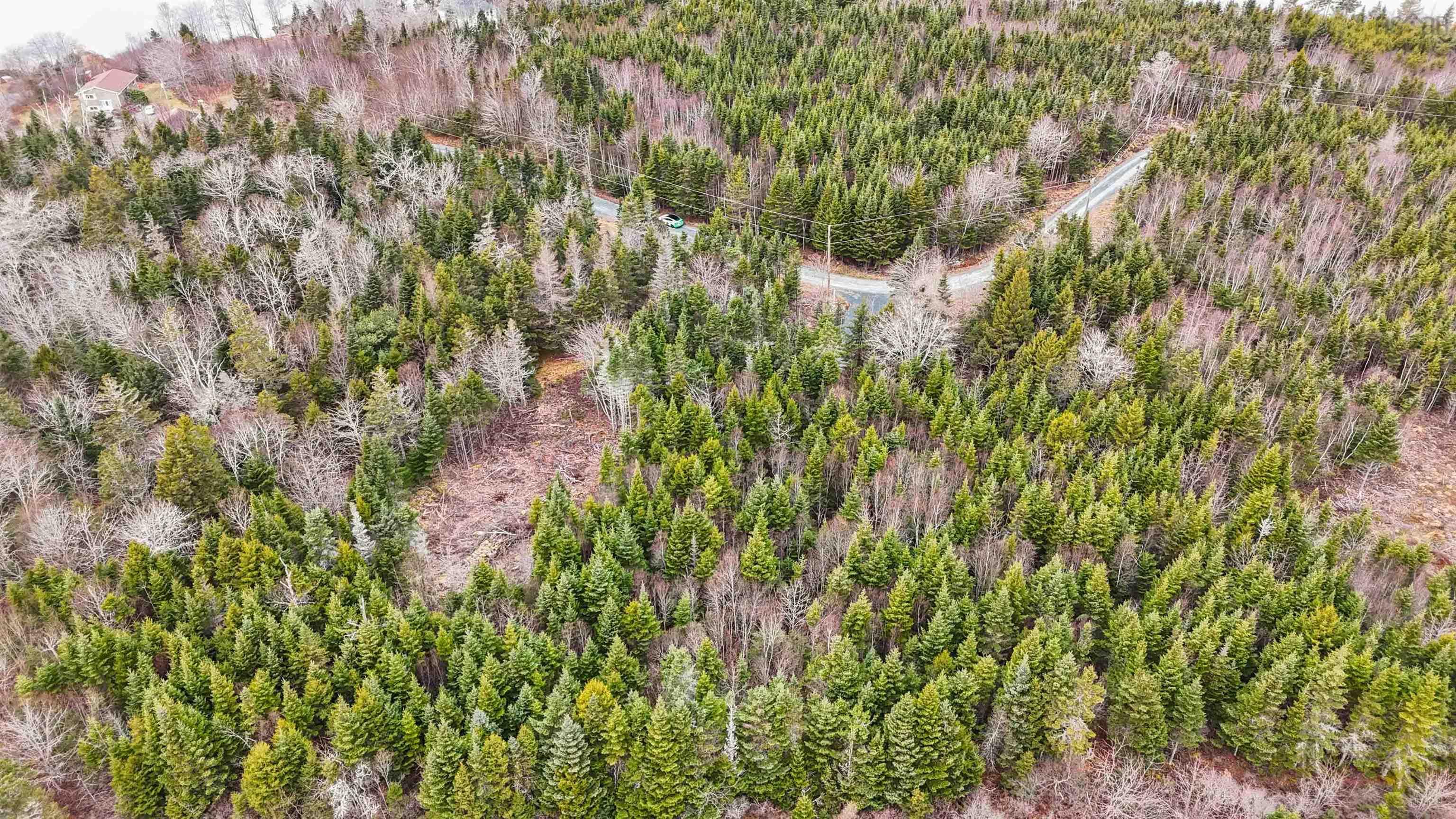 $119,900.00: Lot 14 Cove Road, Porters Lake