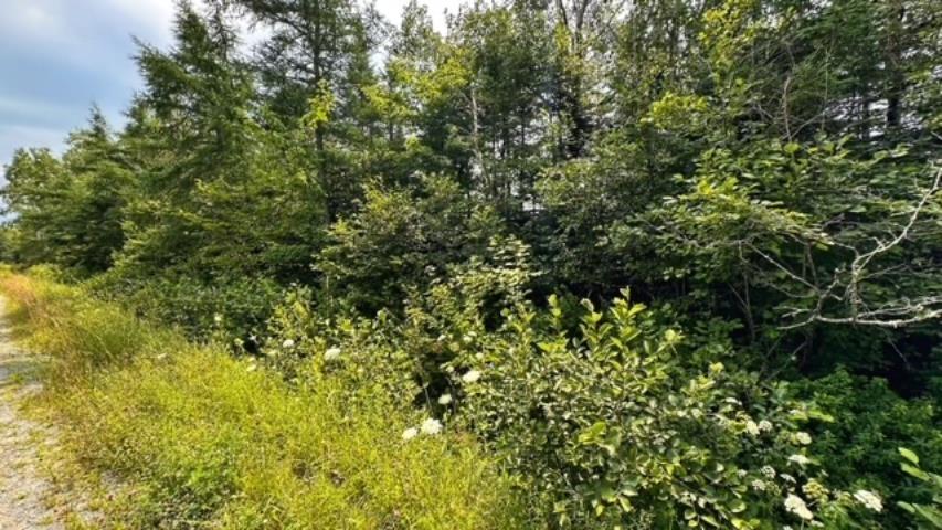 $69,900.00: Lot Tuff Street, Macphees Corner