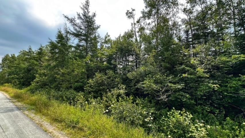 $69,900.00: Lot Tuff Street, Macphees Corner