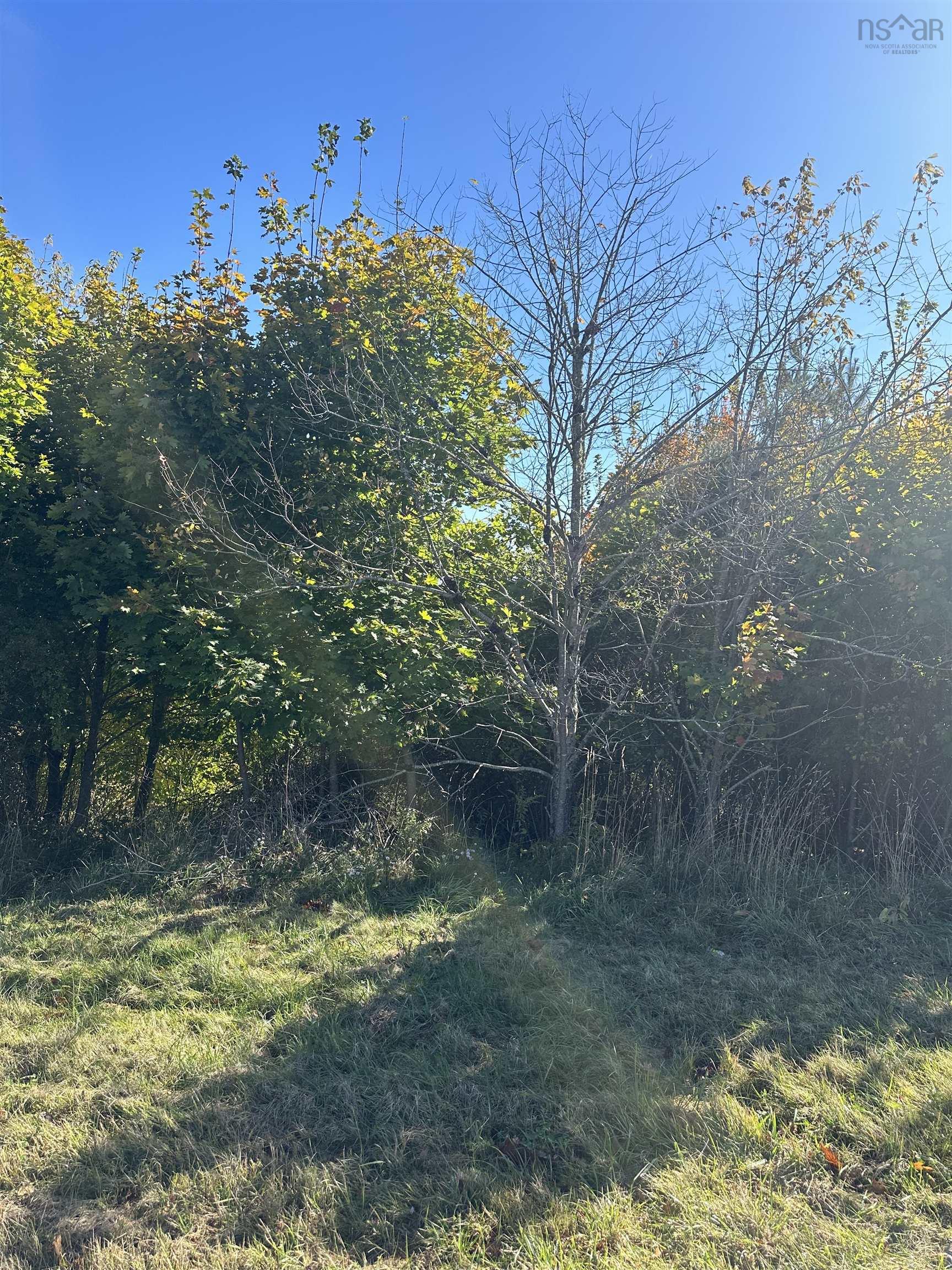 $65,000.00: Lot 2 Alders Avenue, Hantsport