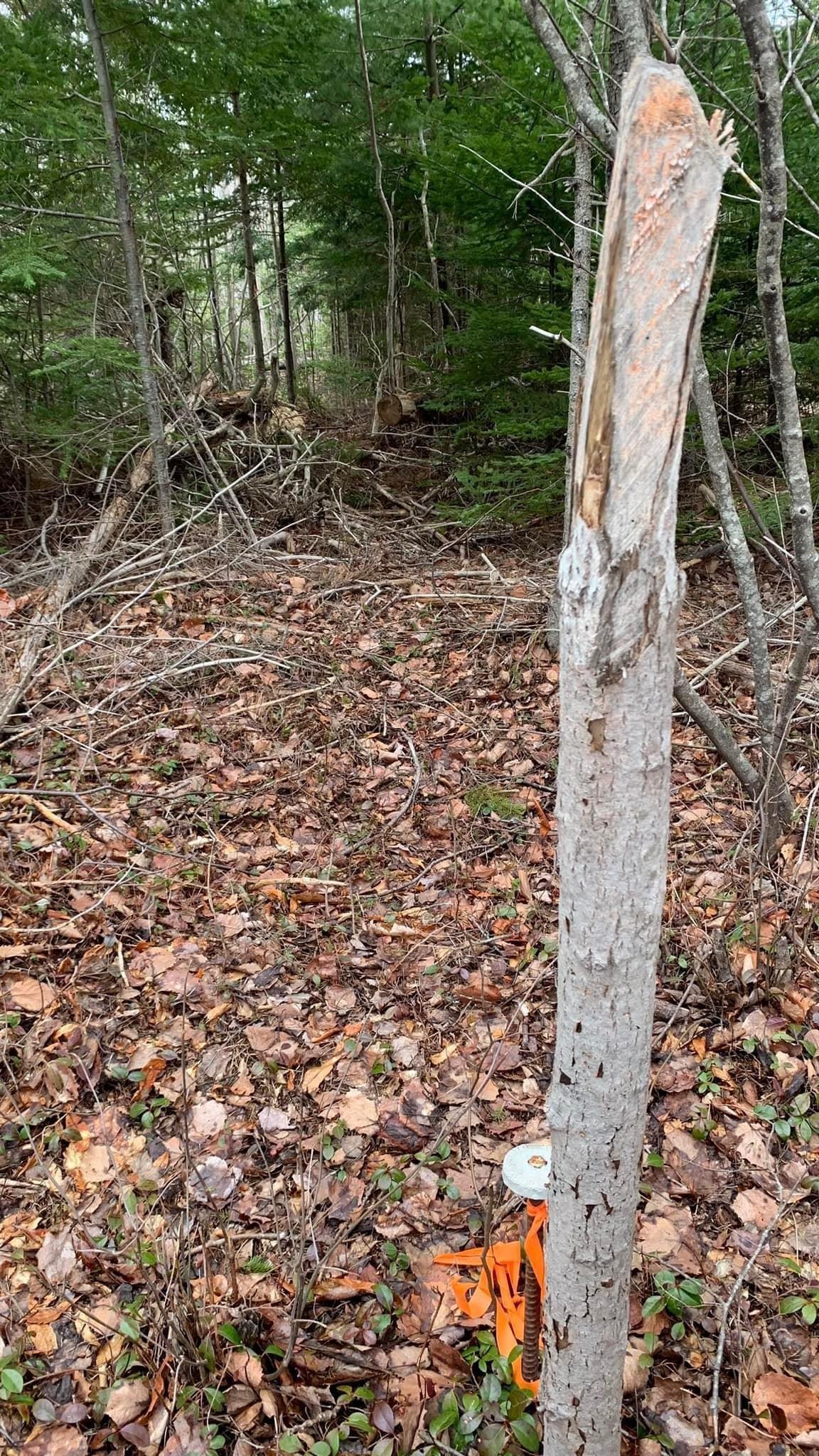 $33,000.00: Lot 24-3 Little Harbour Road, Frasers Mountain