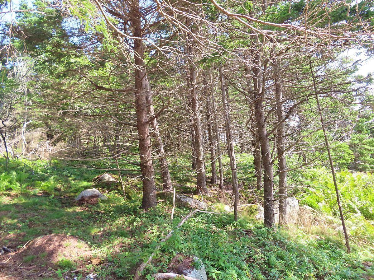 $136,800.00: Lot 6 316 Hwy (Grovers Point), Cole Harbour
