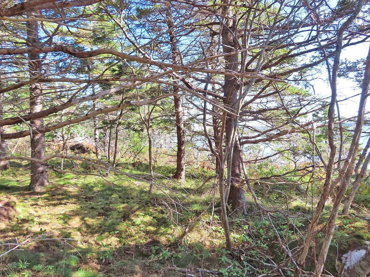 $136,800.00: Lot 6 316 Hwy (Grovers Point), Cole Harbour