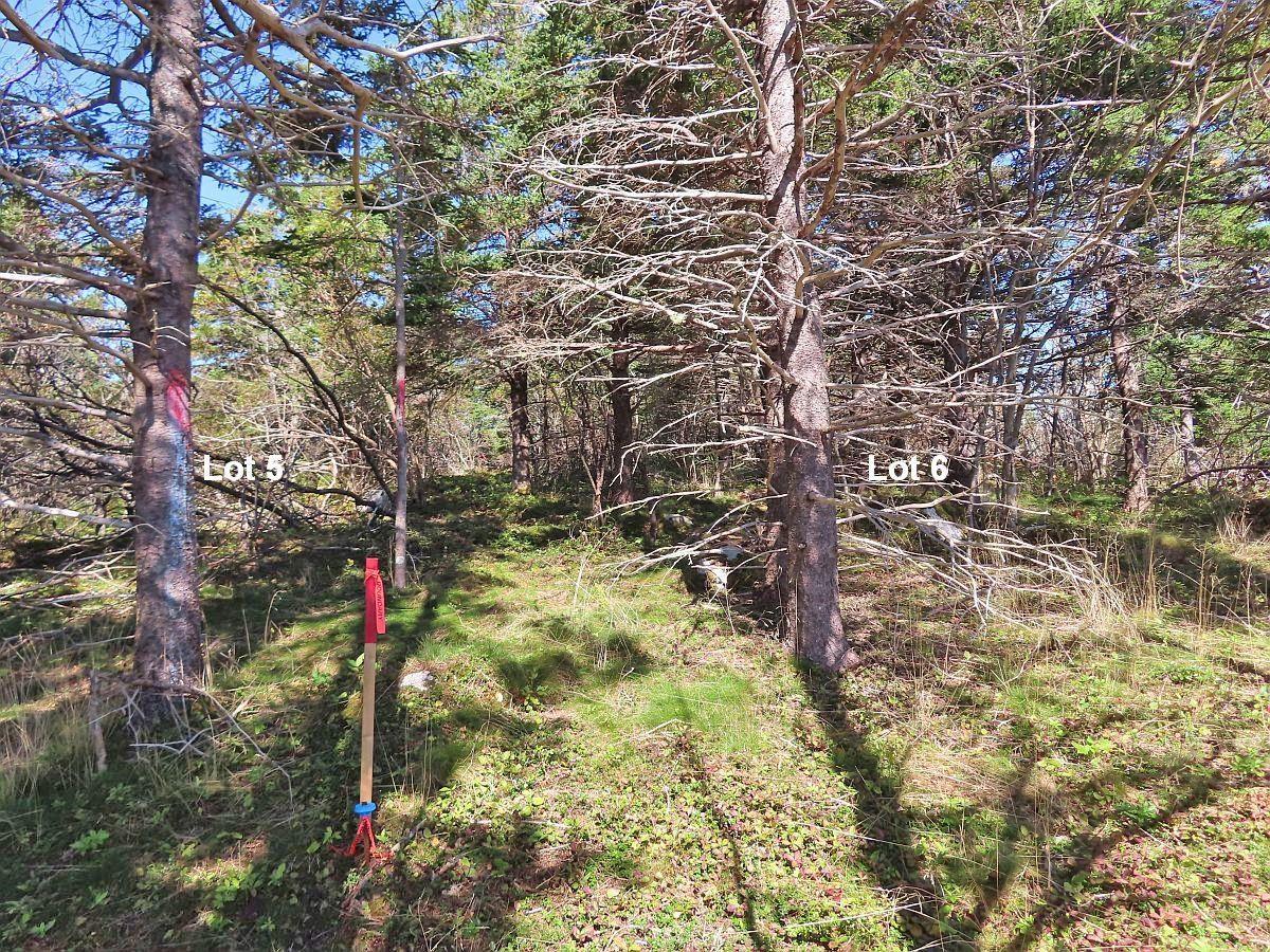 $136,800.00: Lot 6 316 Hwy (Grovers Point), Cole Harbour