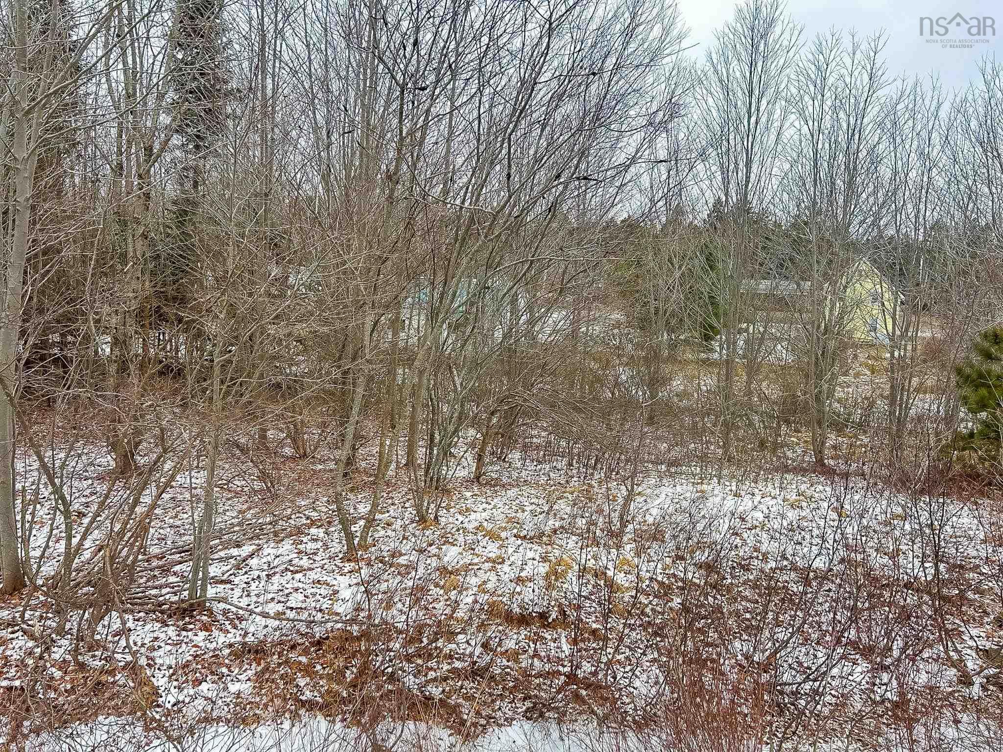 $18,500.00: Lot (PID 60293008) Highway 103, Hebbs Cross