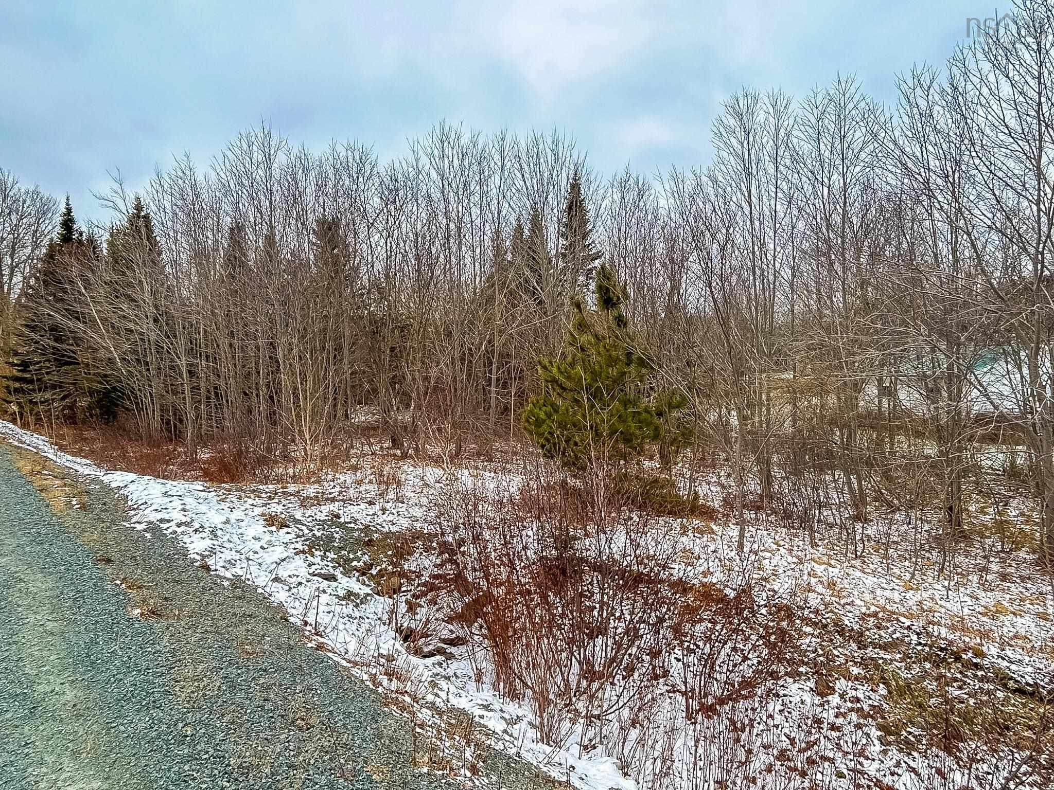$18,500.00: Lot (PID 60293008) Highway 103, Hebbs Cross