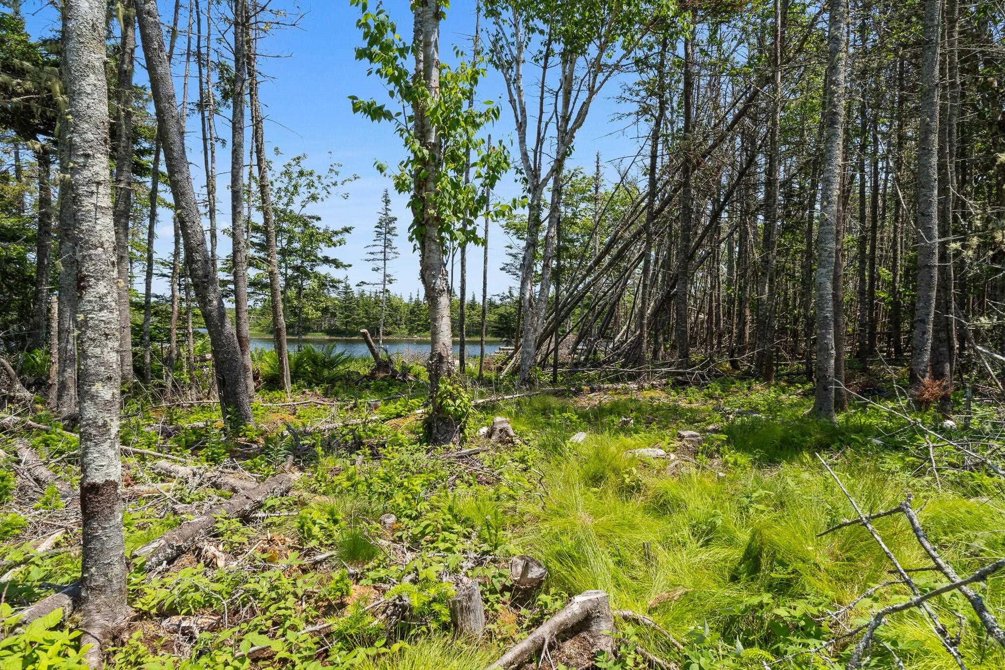 $299,900.00: Lot Highway 207, Seaforth