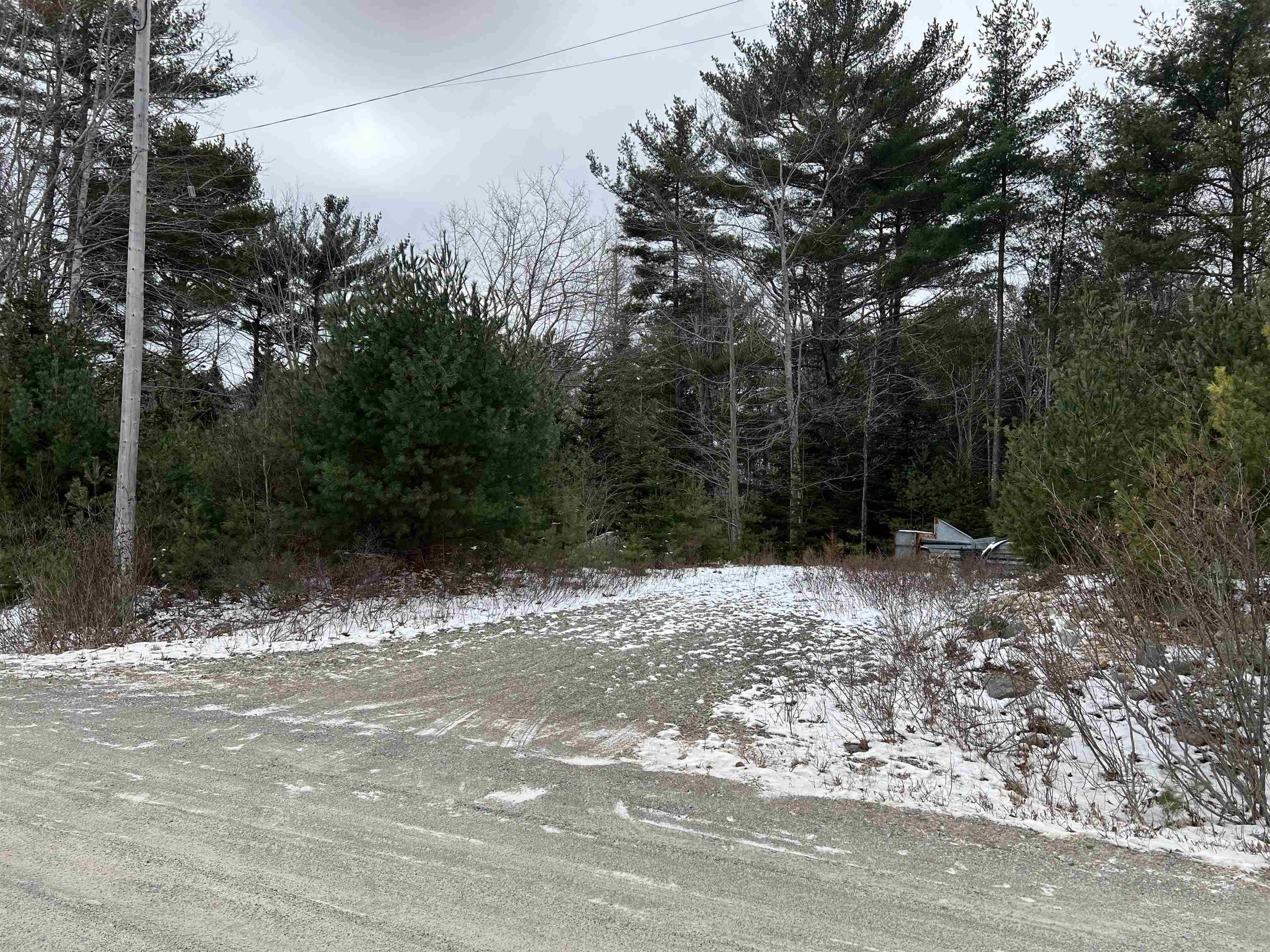 $29,000.00: Lot 2 Carleton Street, Shelburne
