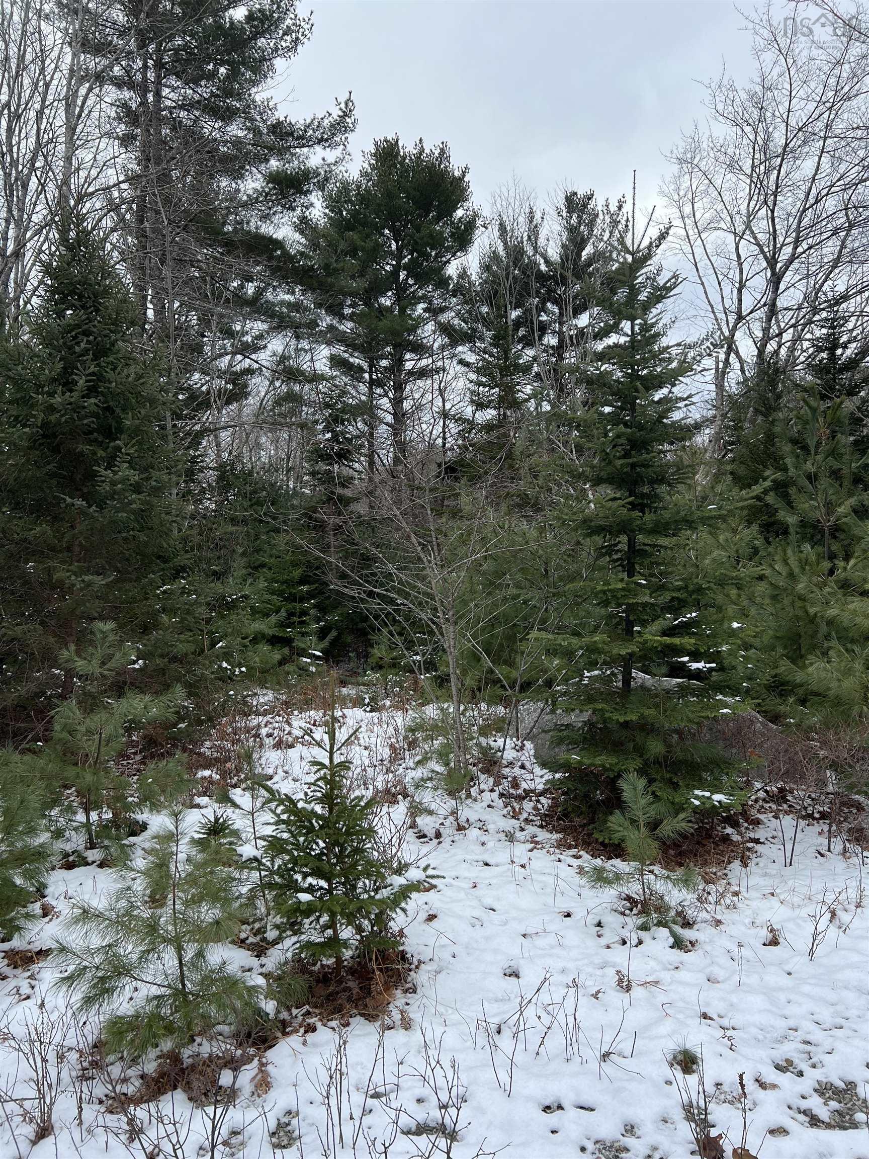 $29,000.00: Lot 2 Carleton Street, Shelburne