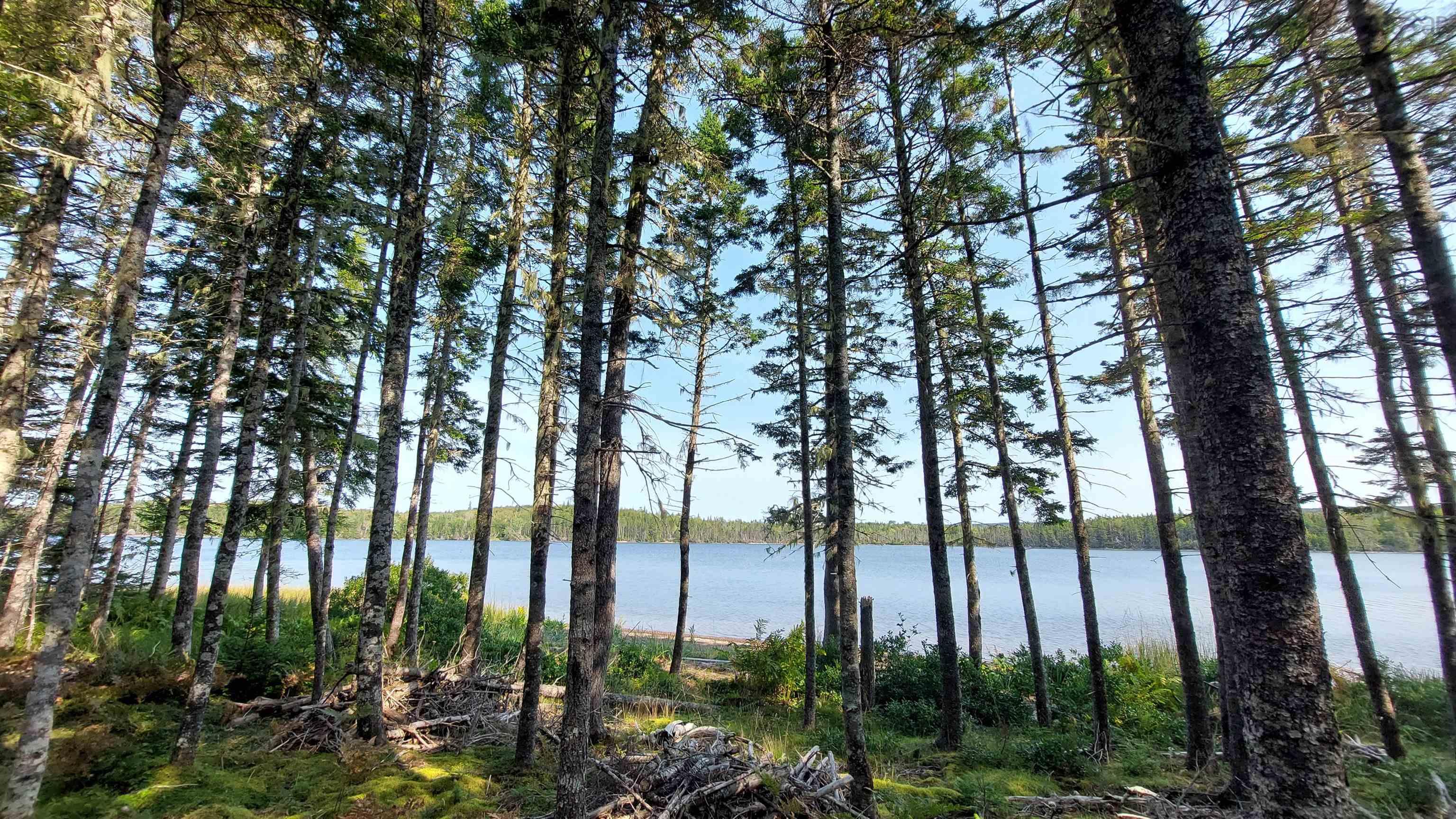 $98,000.00: Lot 25 Pia Kaestner Lane, Hay Cove