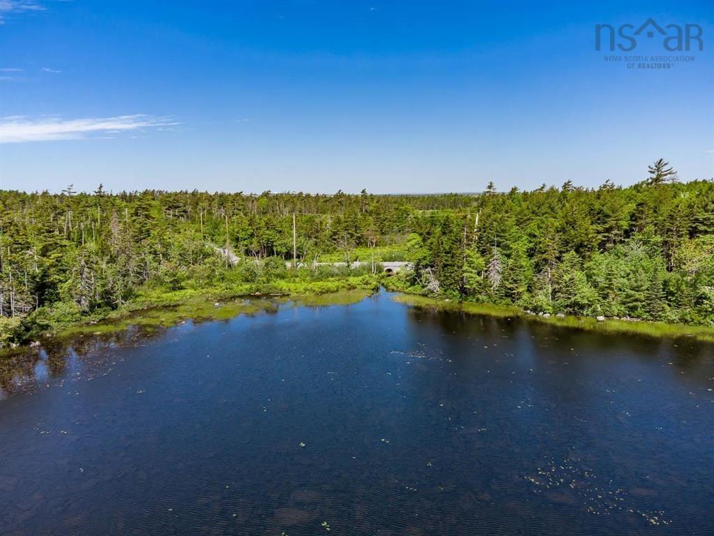Lot 901 Lochmoor Lane, Lake Loon, NS (MLS 202500459)