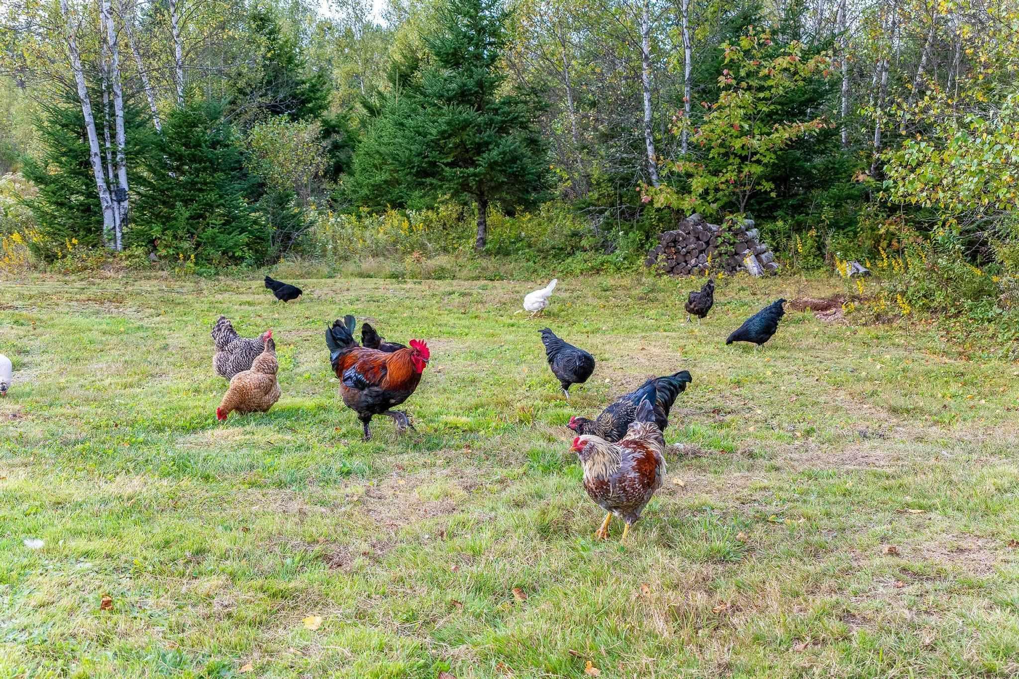 $549,900.00: 354 Union 2 Road, Greenfield