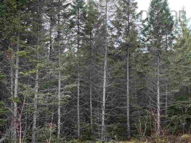 $110,000.00: 16308 Hwy 316, Country Harbour Mines