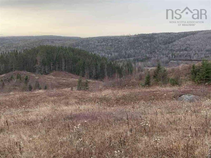 $110,000.00: 16308 Hwy 316, Country Harbour Mines