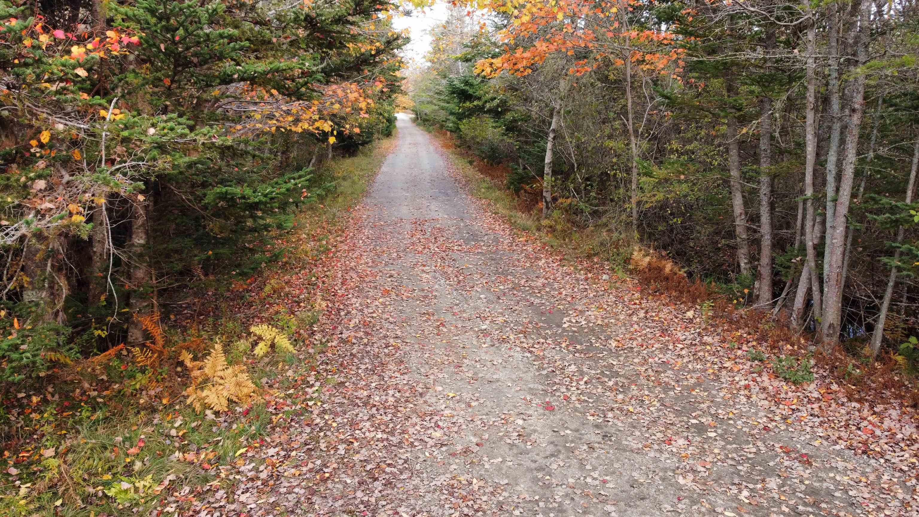 $49,900.00: Acreage Lyles Road, Port Clyde