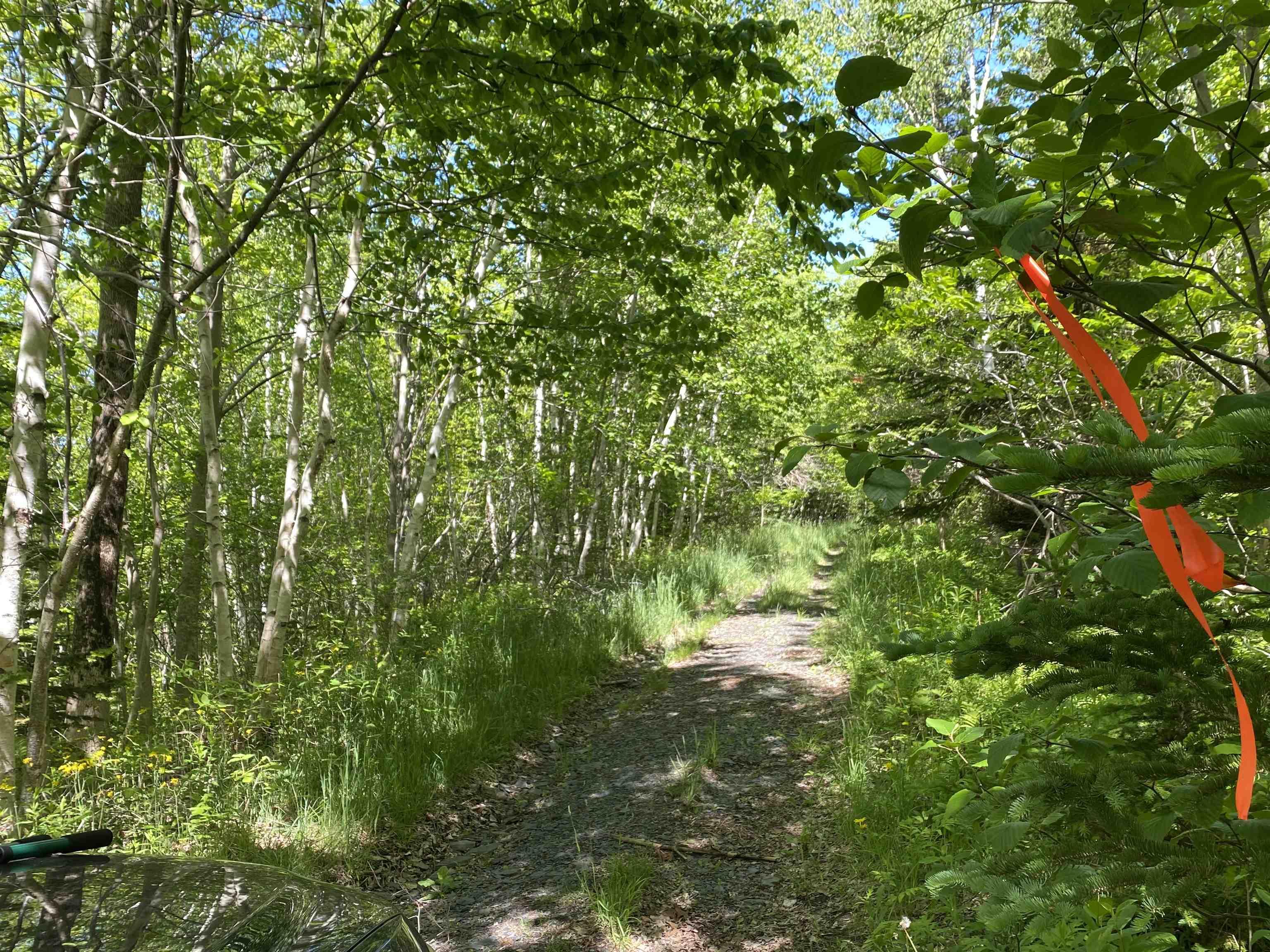 $39,900.00: 0 No. 1 Highway, Deep Brook