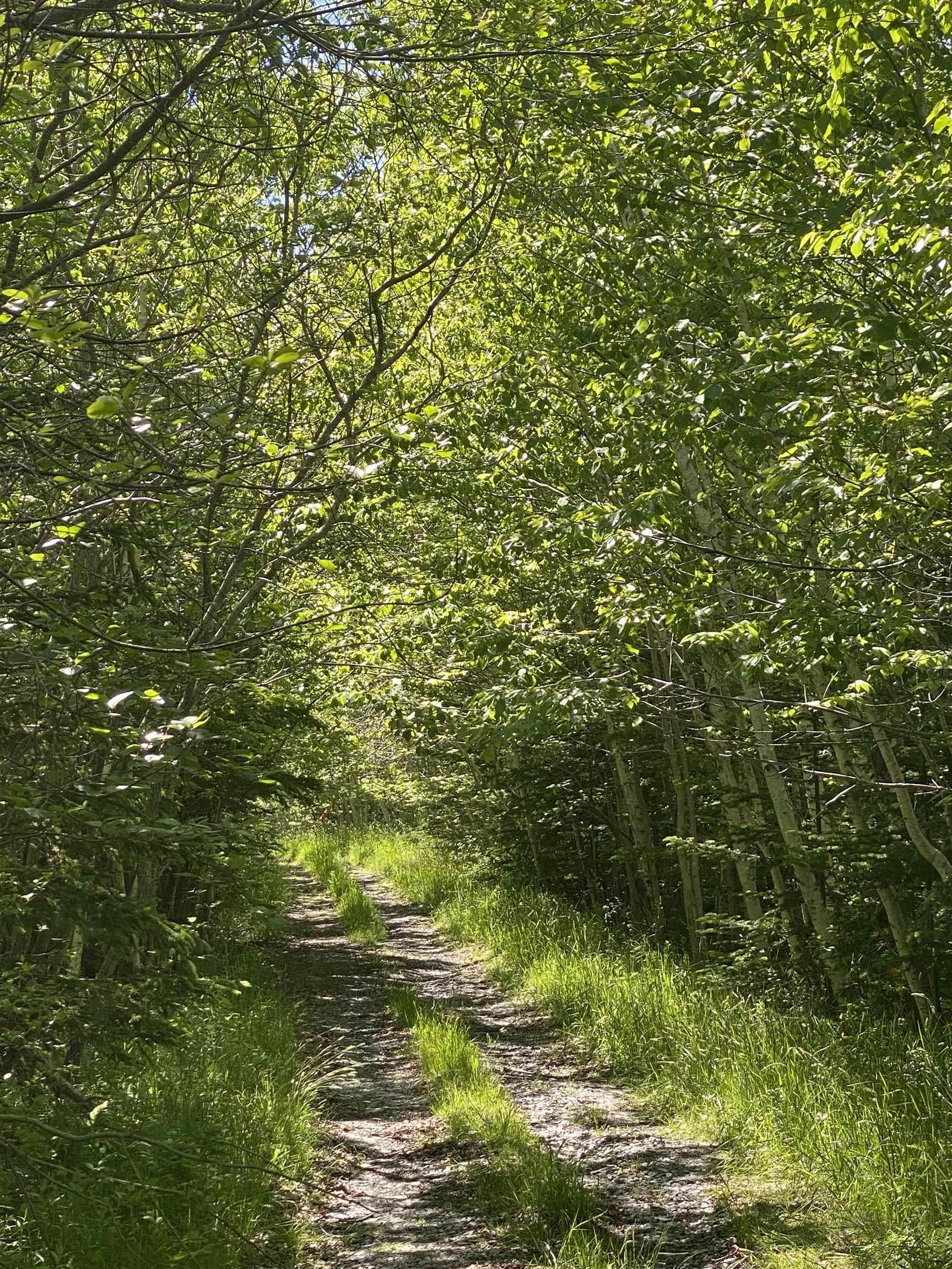 $39,900.00: 0 No. 1 Highway, Deep Brook