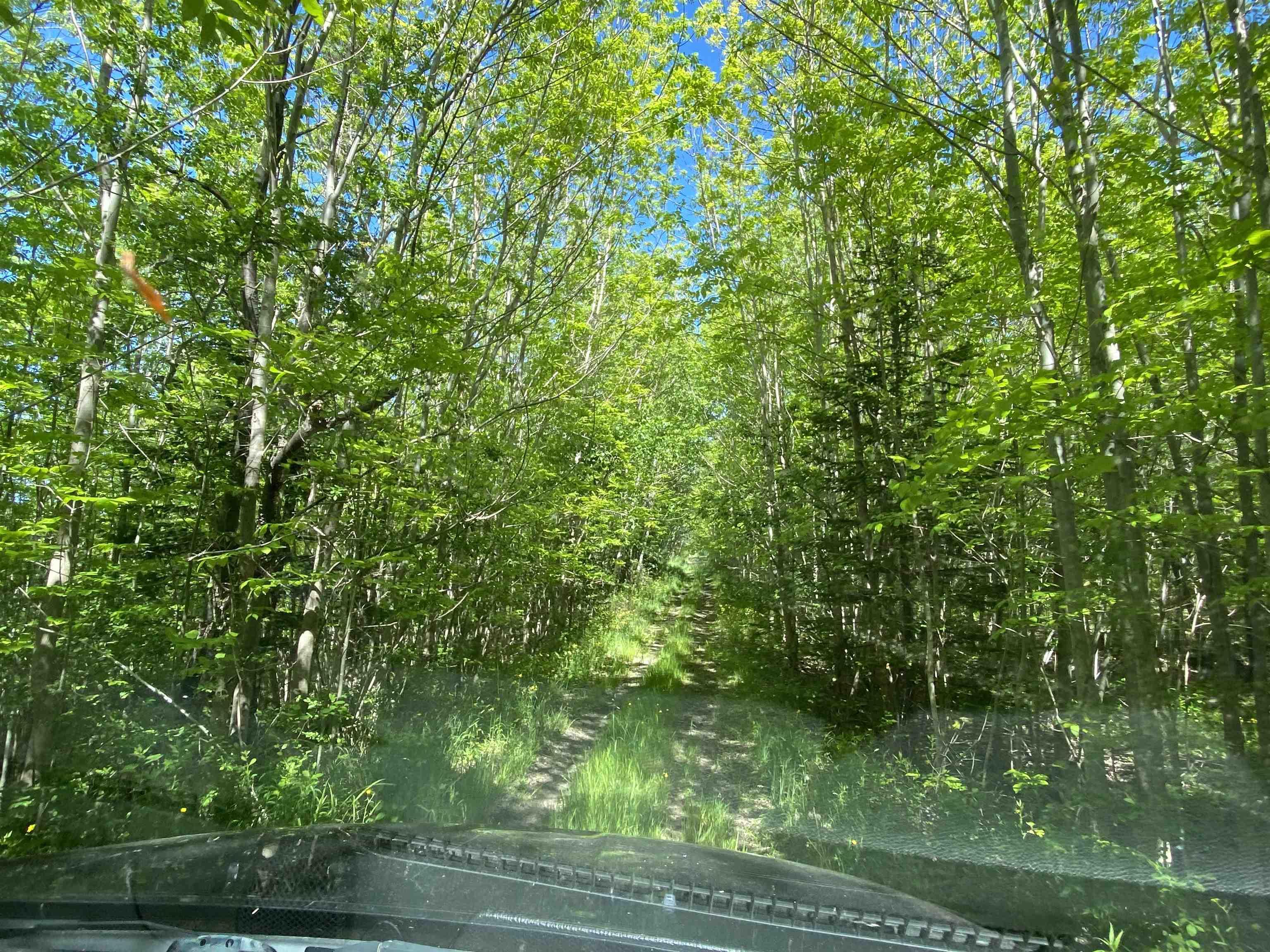 $39,900.00: 0 No. 1 Highway, Deep Brook