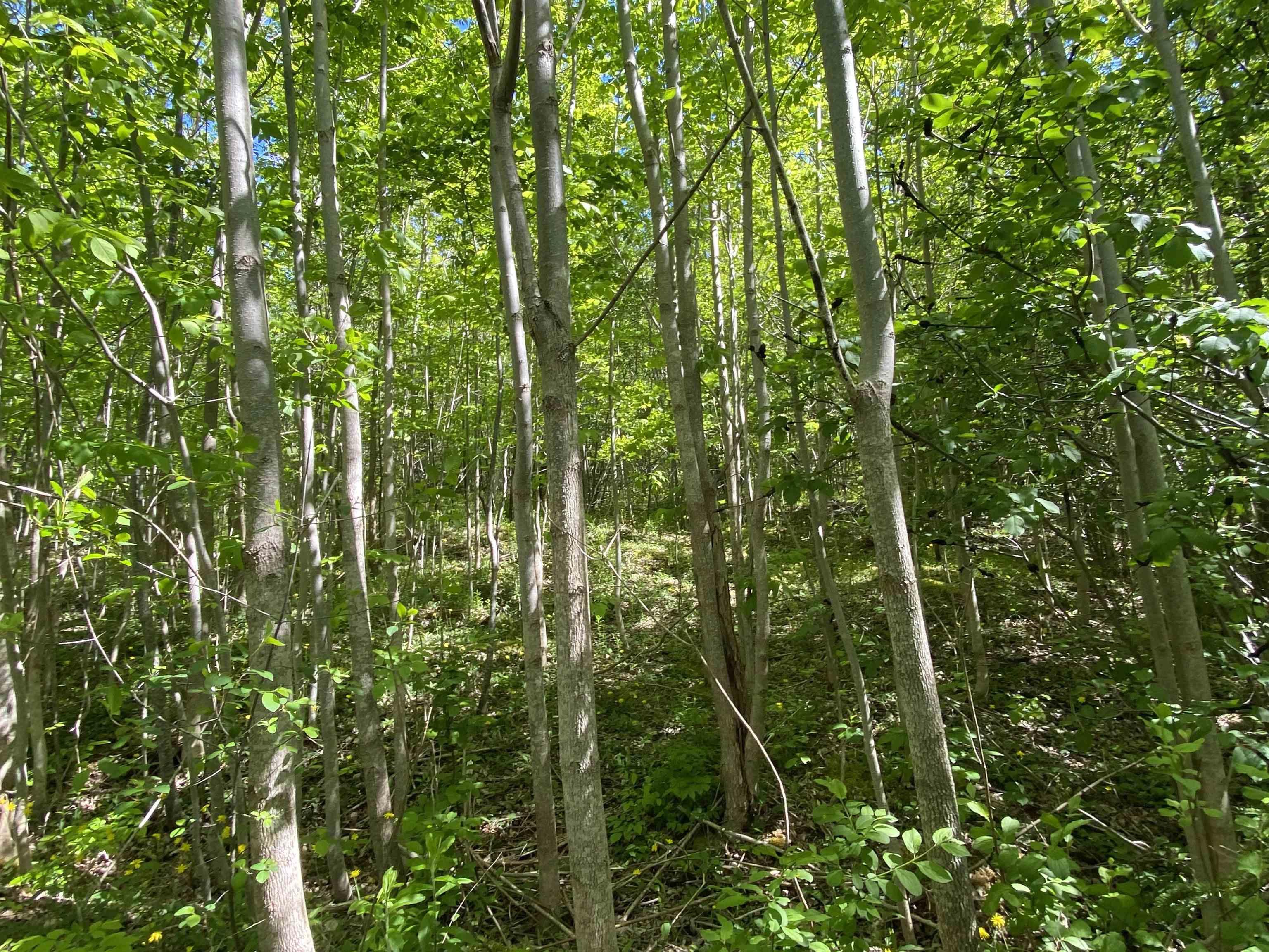 $39,900.00: 0 No. 1 Highway, Deep Brook