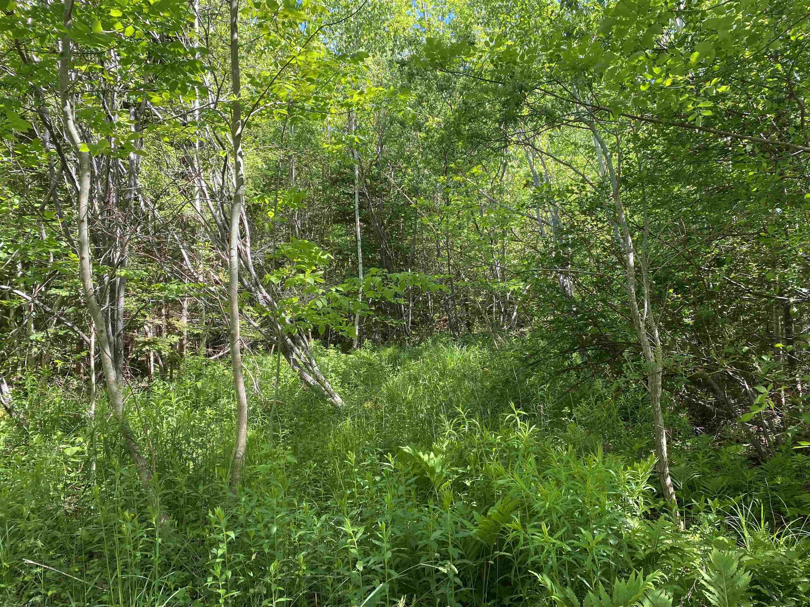 $39,900.00: 0 No. 1 Highway, Deep Brook