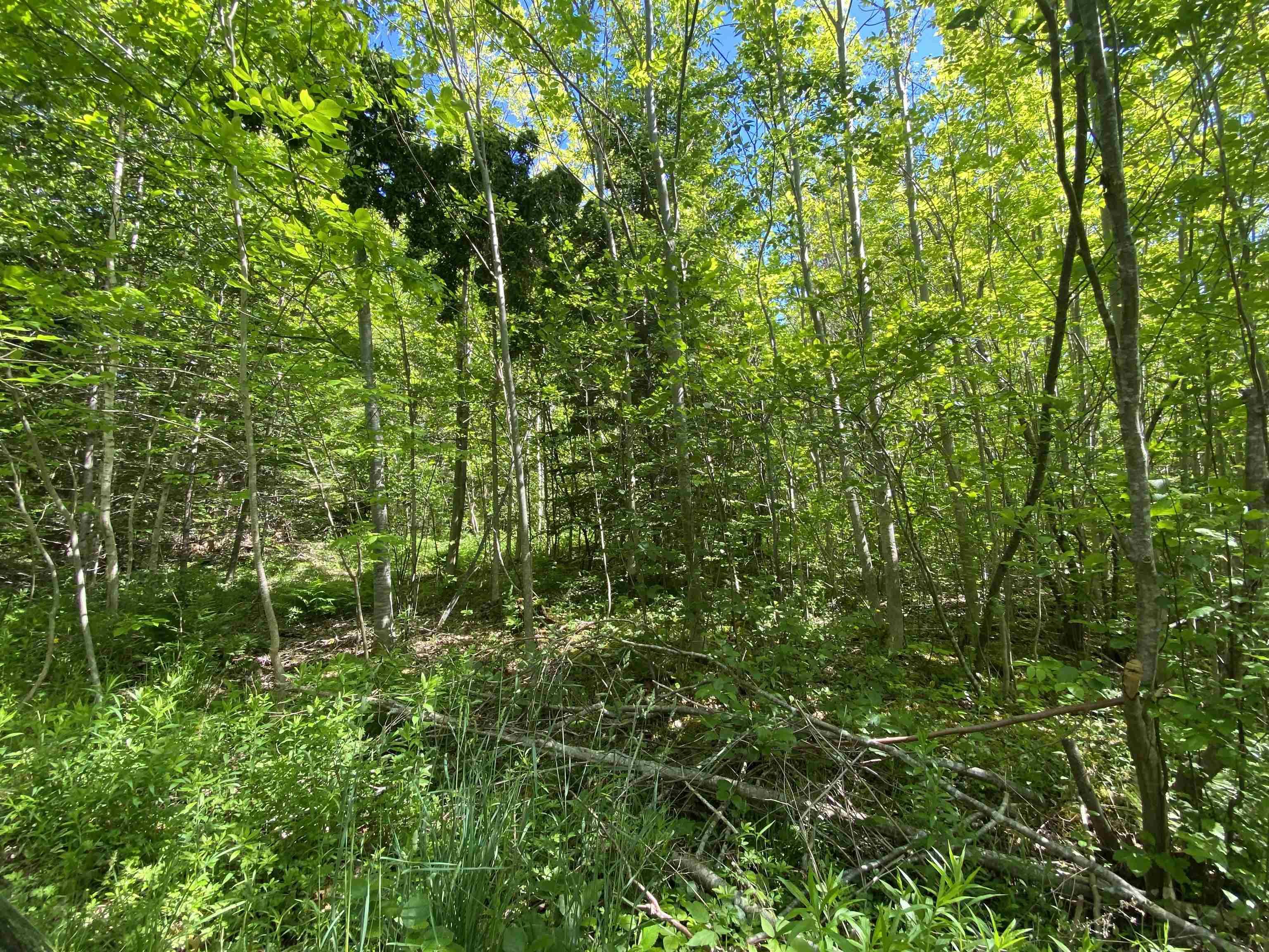 $39,900.00: 0 No. 1 Highway, Deep Brook