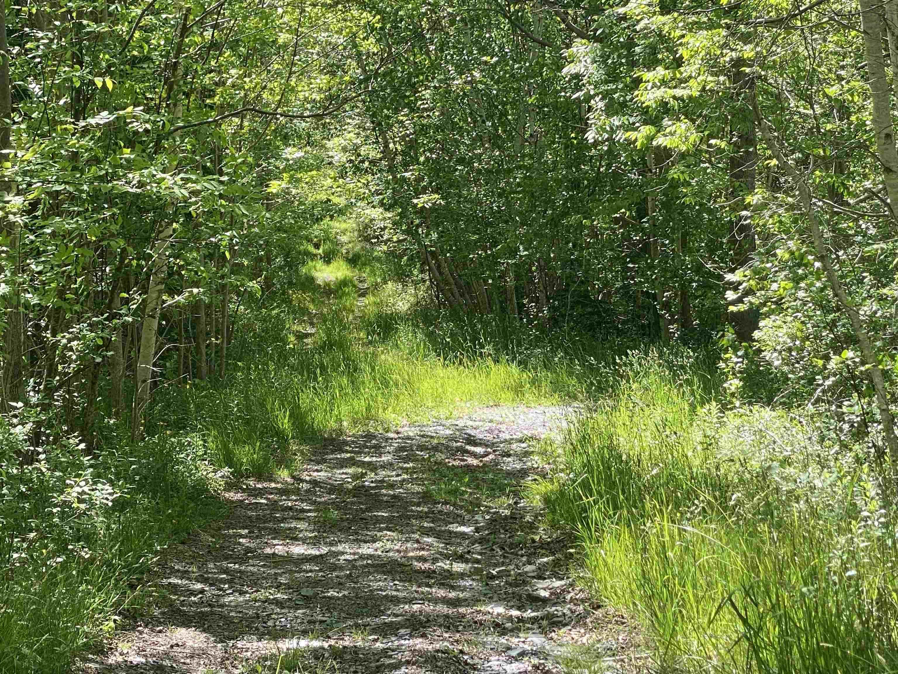 $39,900.00: 0 No. 1 Highway, Deep Brook