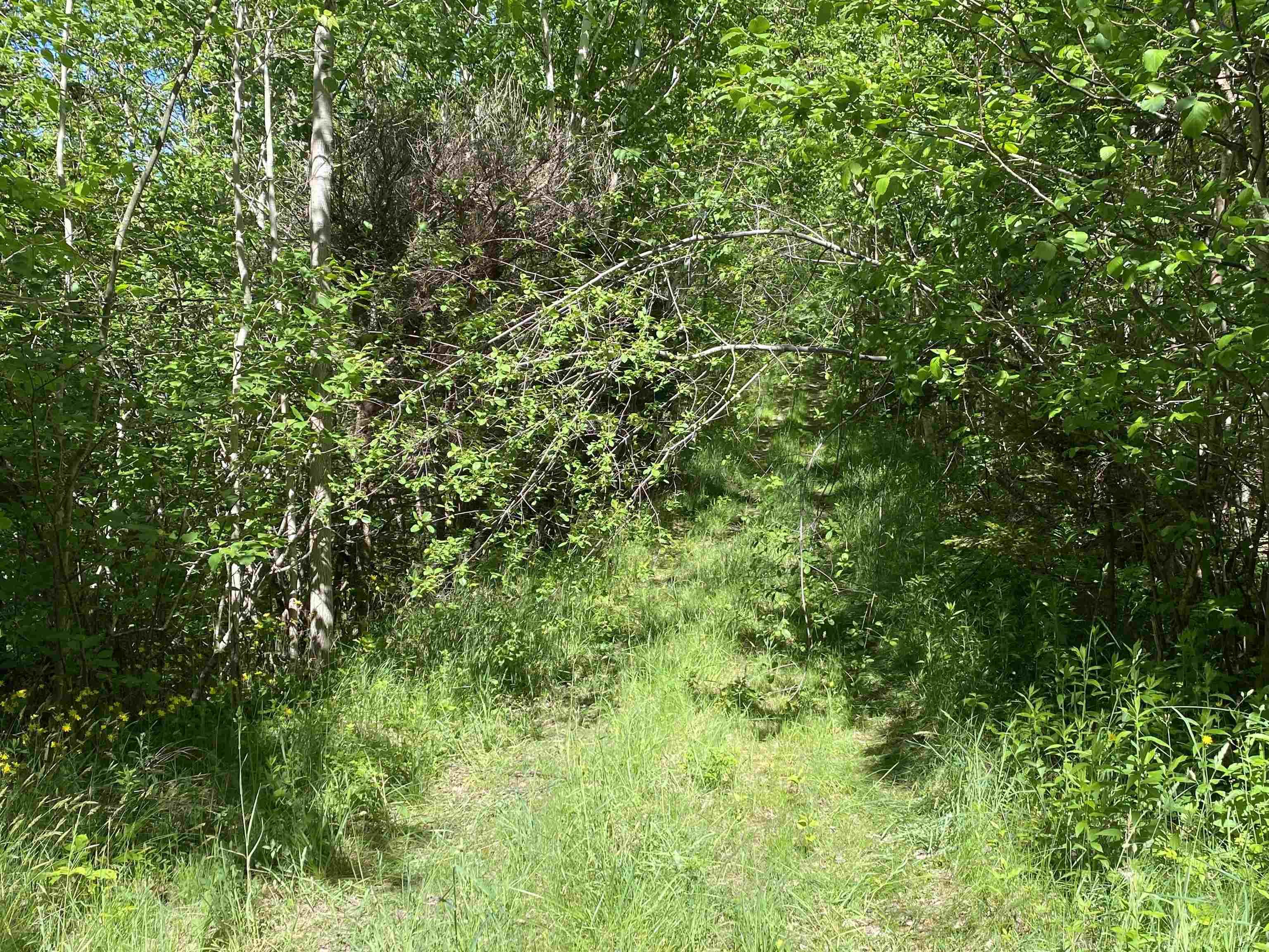 $39,900.00: 0 No. 1 Highway, Deep Brook