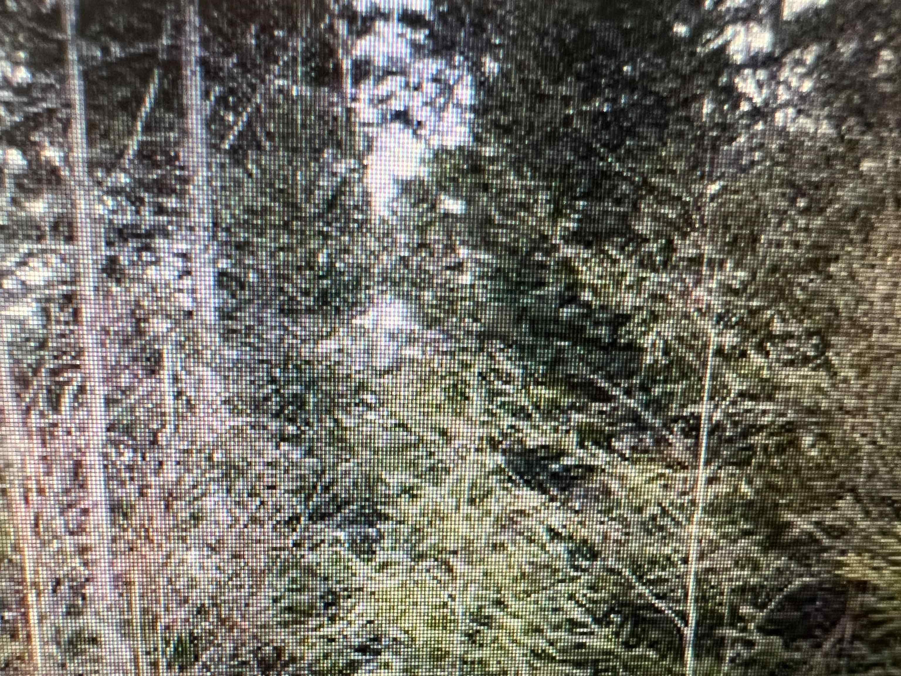 $1,600,000.00: R3-7R Highway 2 Highway, Oakfield