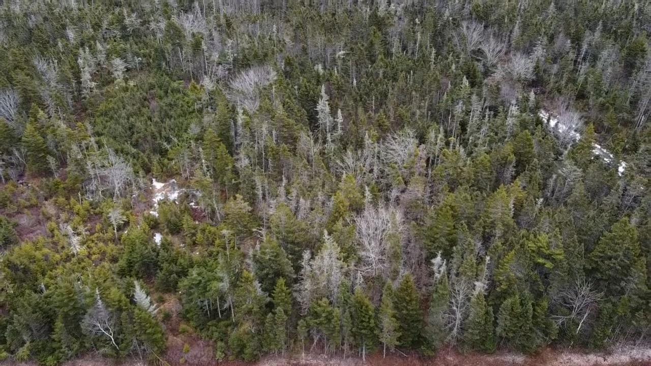 $23,500.00: Lot Upper Kingsburg Road, Rose Bay