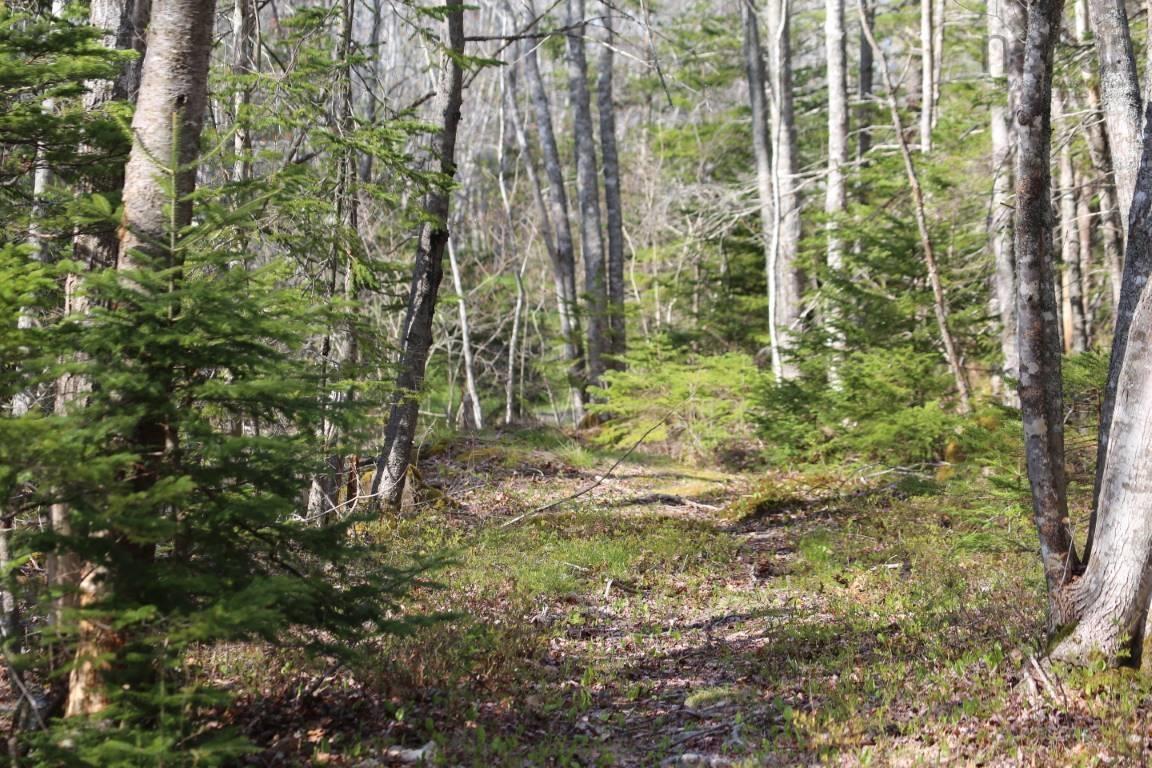 $160,000.00: Lot 5 Brooklyn Shores, Liverpool
