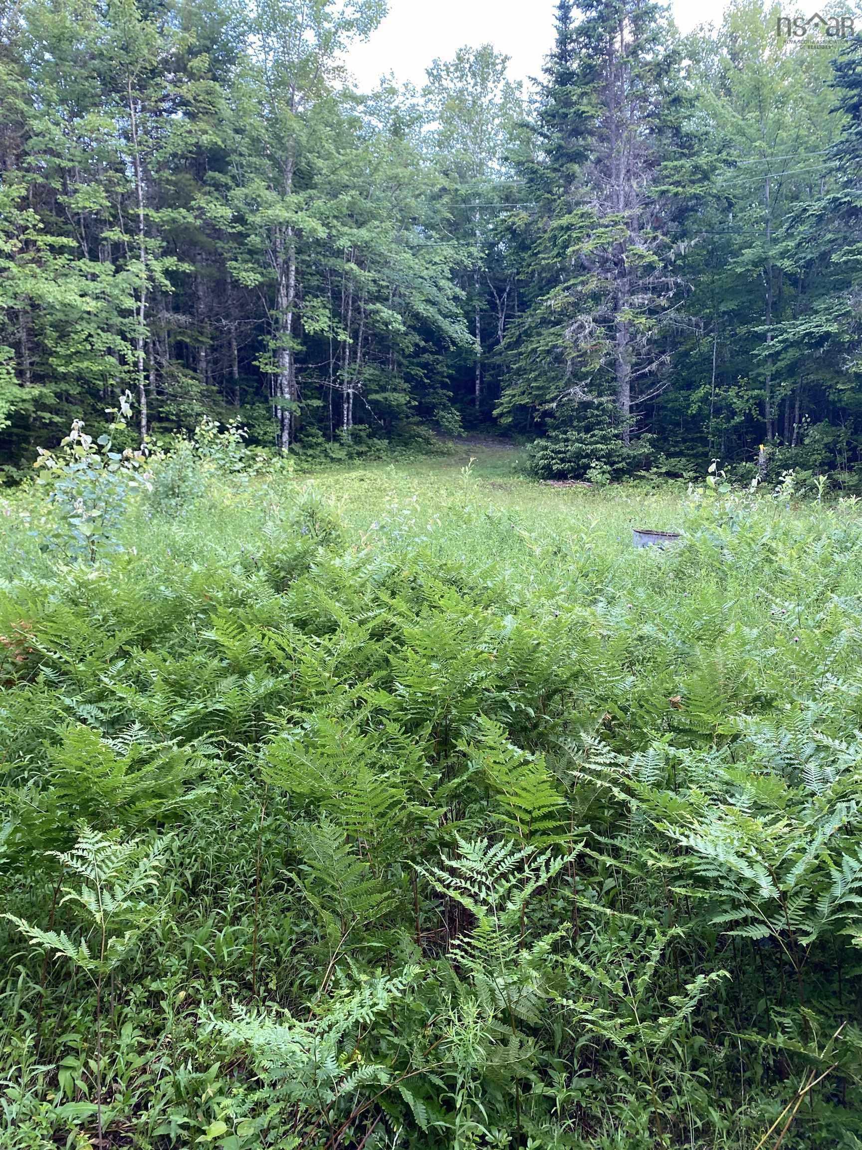 $99,000.00: Lot 9 Pigott Lake Road, Lakelands