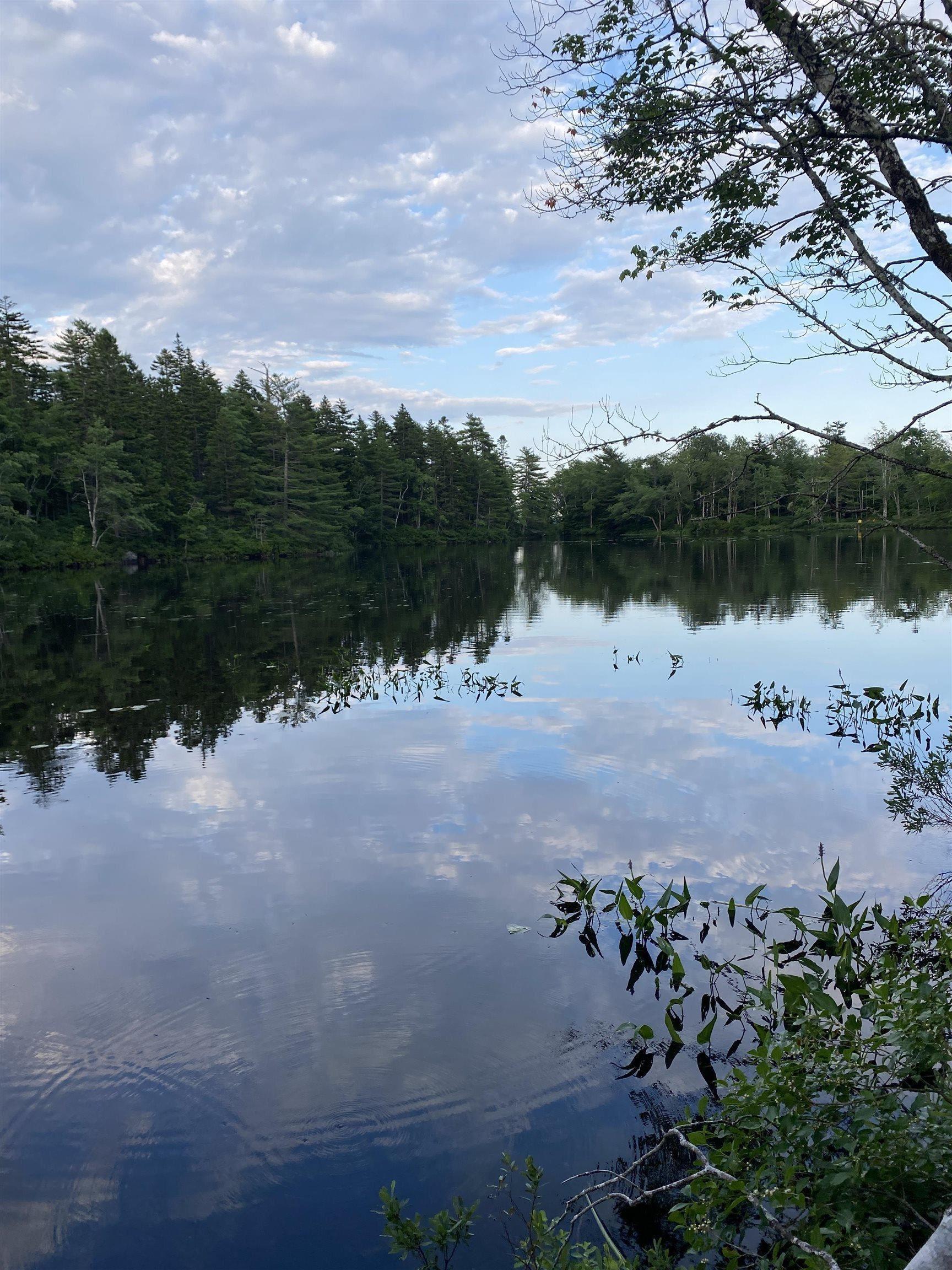 $85,000.00: Lot 10 Pigott Lake Road, Lakelands