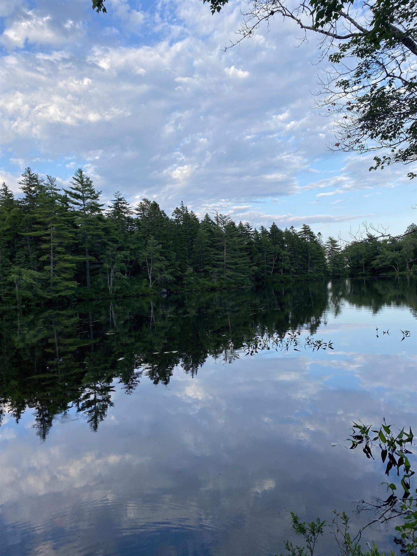 $85,000.00: Lot 10 Pigott Lake Road, Lakelands