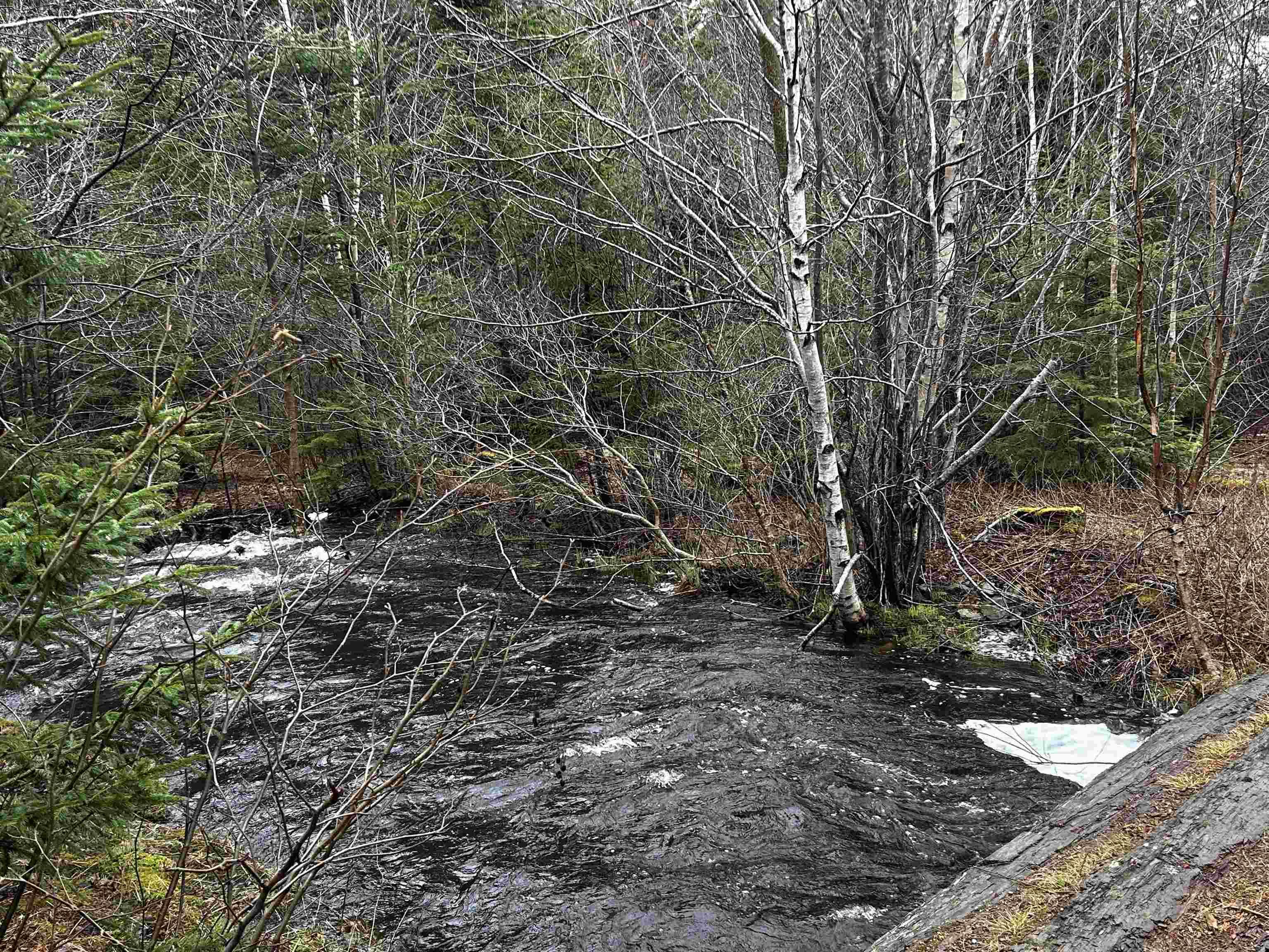 $229,000.00: 8960 Highway 101, Brighton