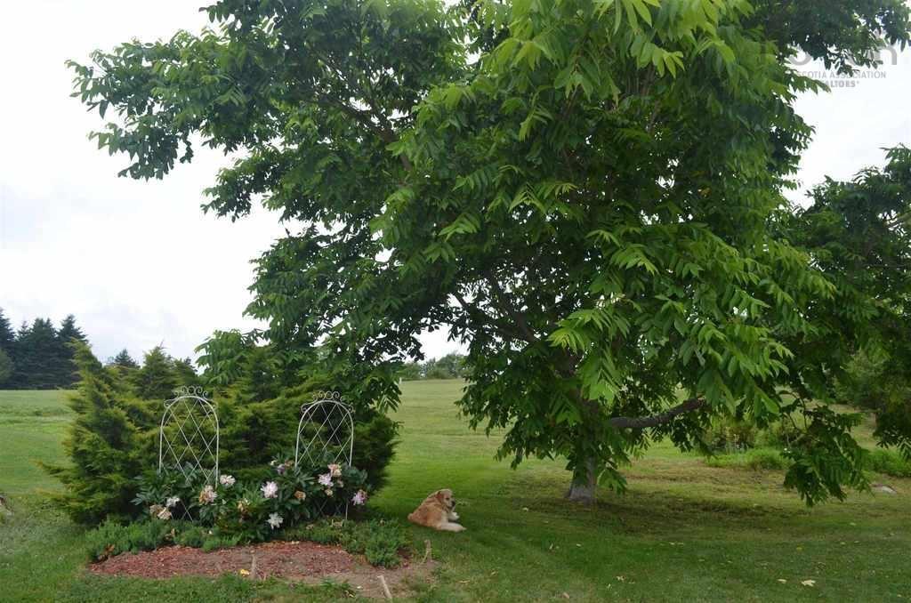 $719,900.00: 5888 331 Highway, Petite Rivière