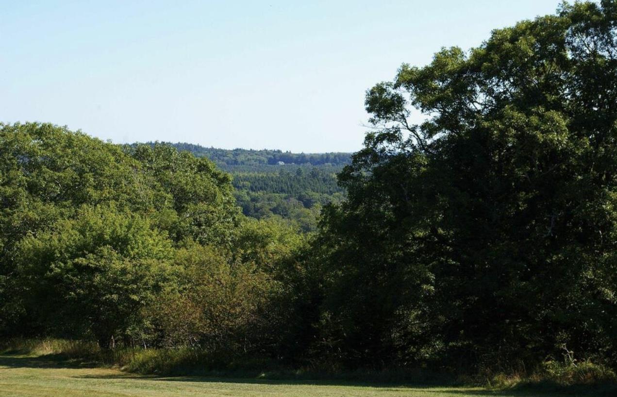 $719,900.00: 5888 331 Highway, Petite Rivière