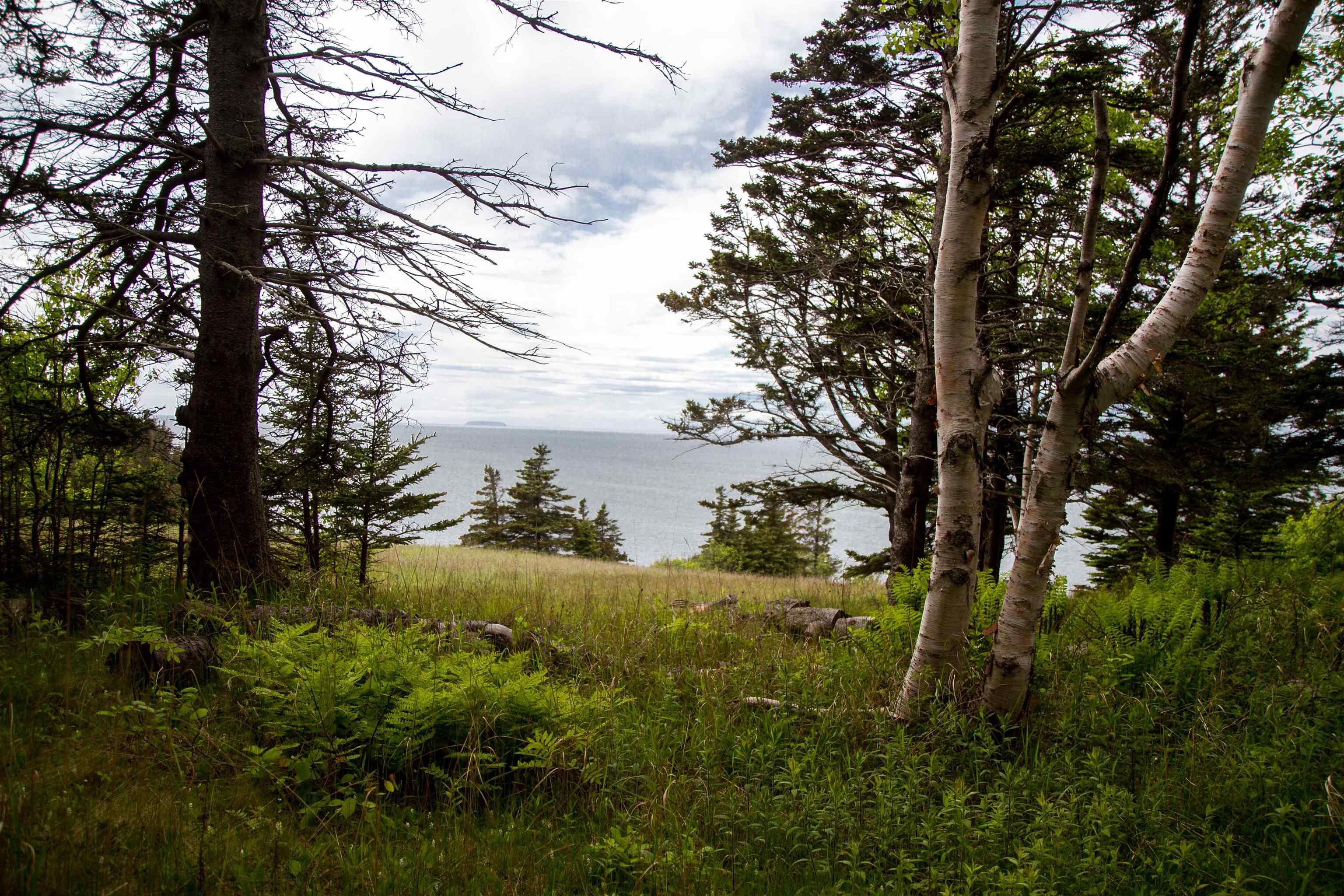 $45,000.00: Lot 19 Pelton Mountain Road, Centreville
