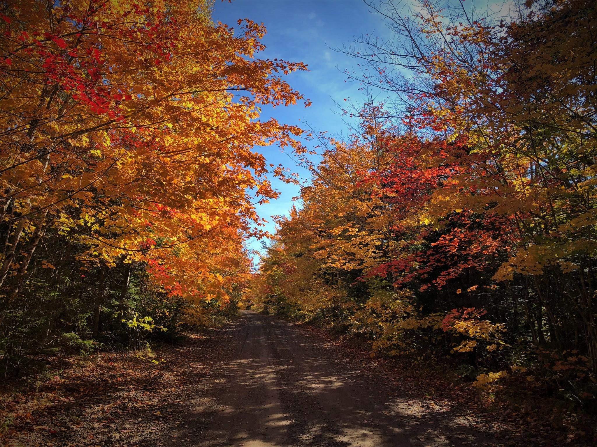 $45,000.00: Lot 19 Pelton Mountain Road, Centreville