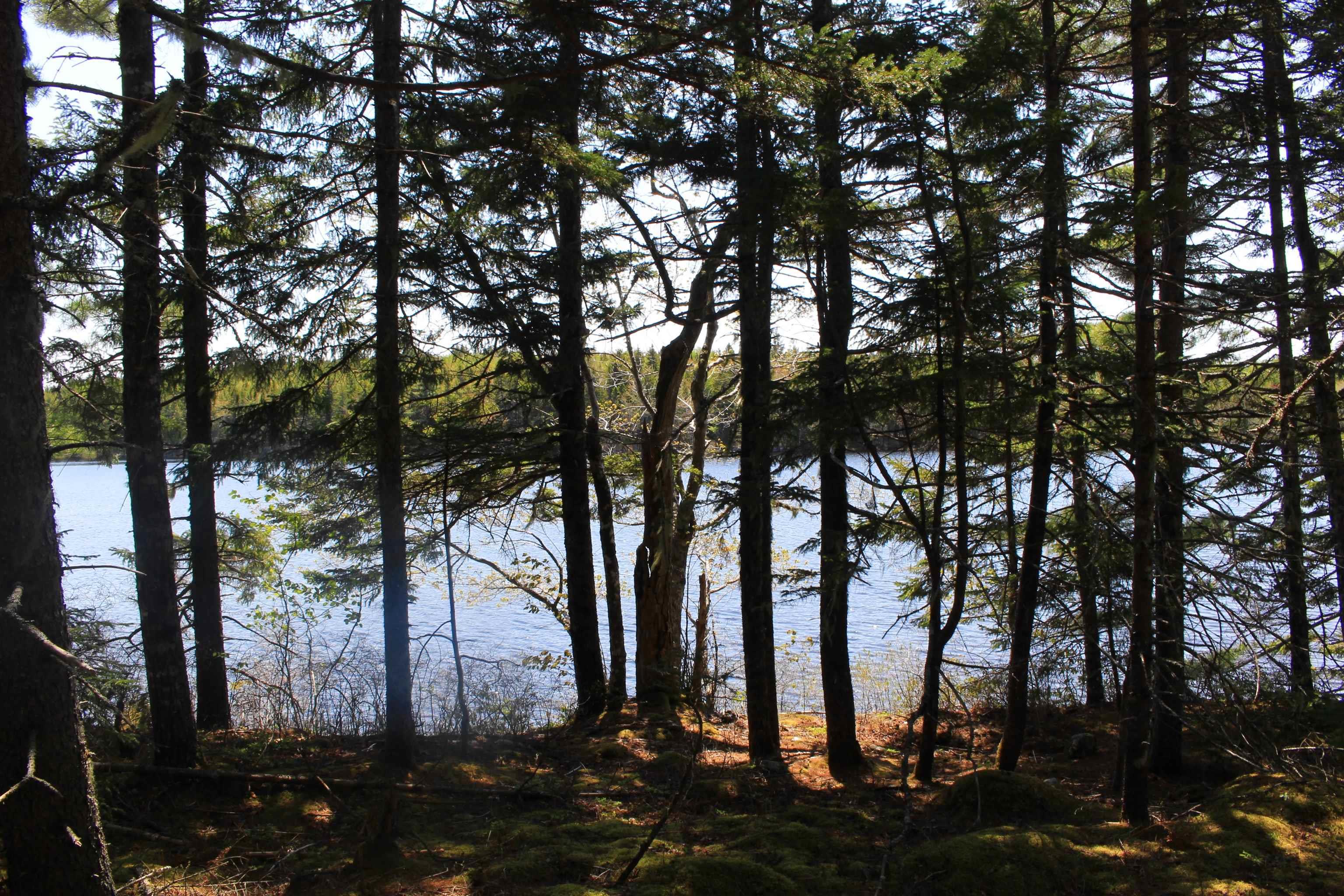 $110,000.00: Lot 4 Laconia Road, Laconia