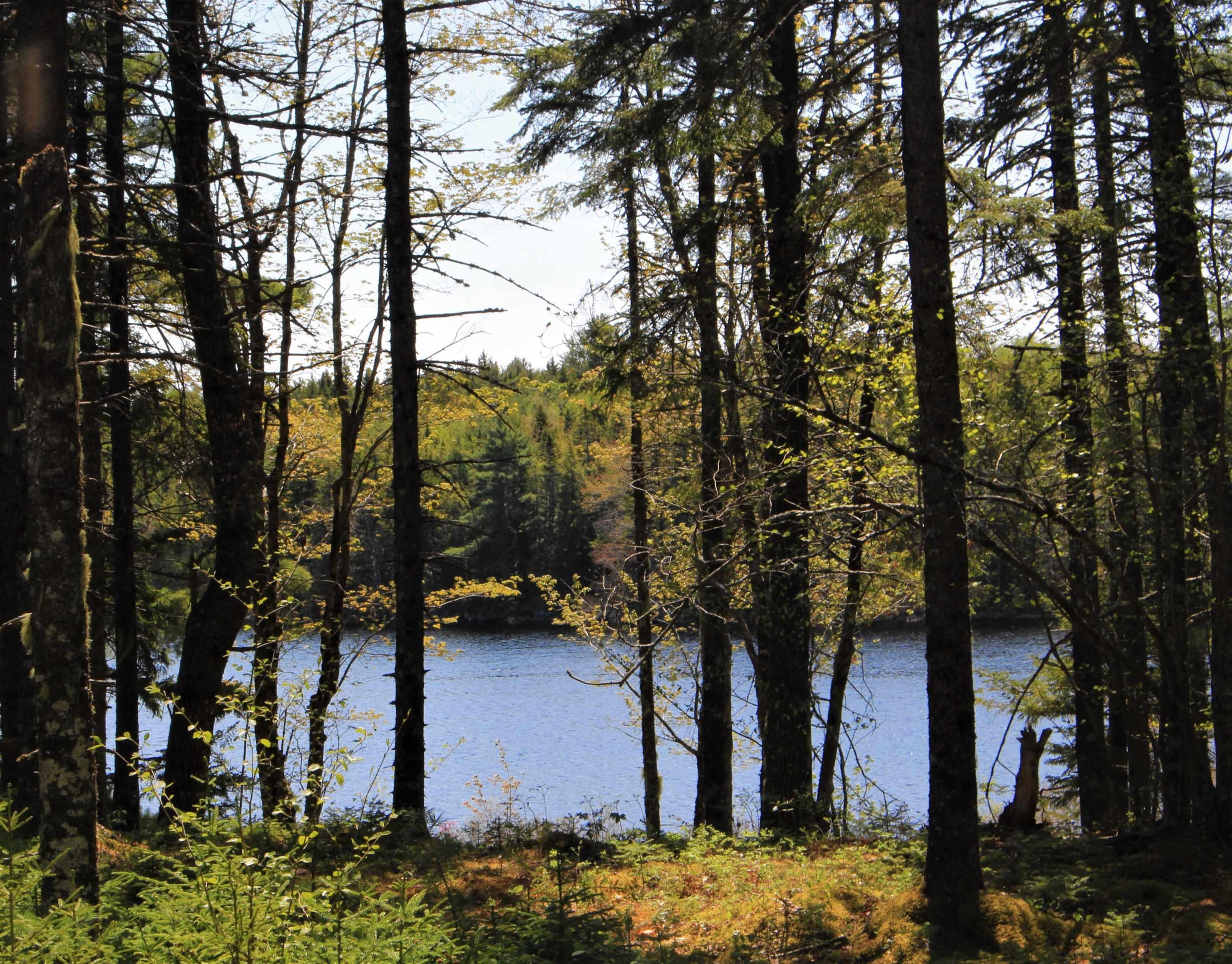 $110,000.00: Lot 4 Laconia Road, Laconia